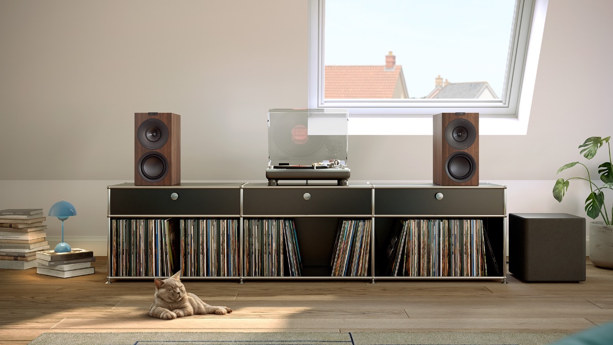 vinyl records speakers cat