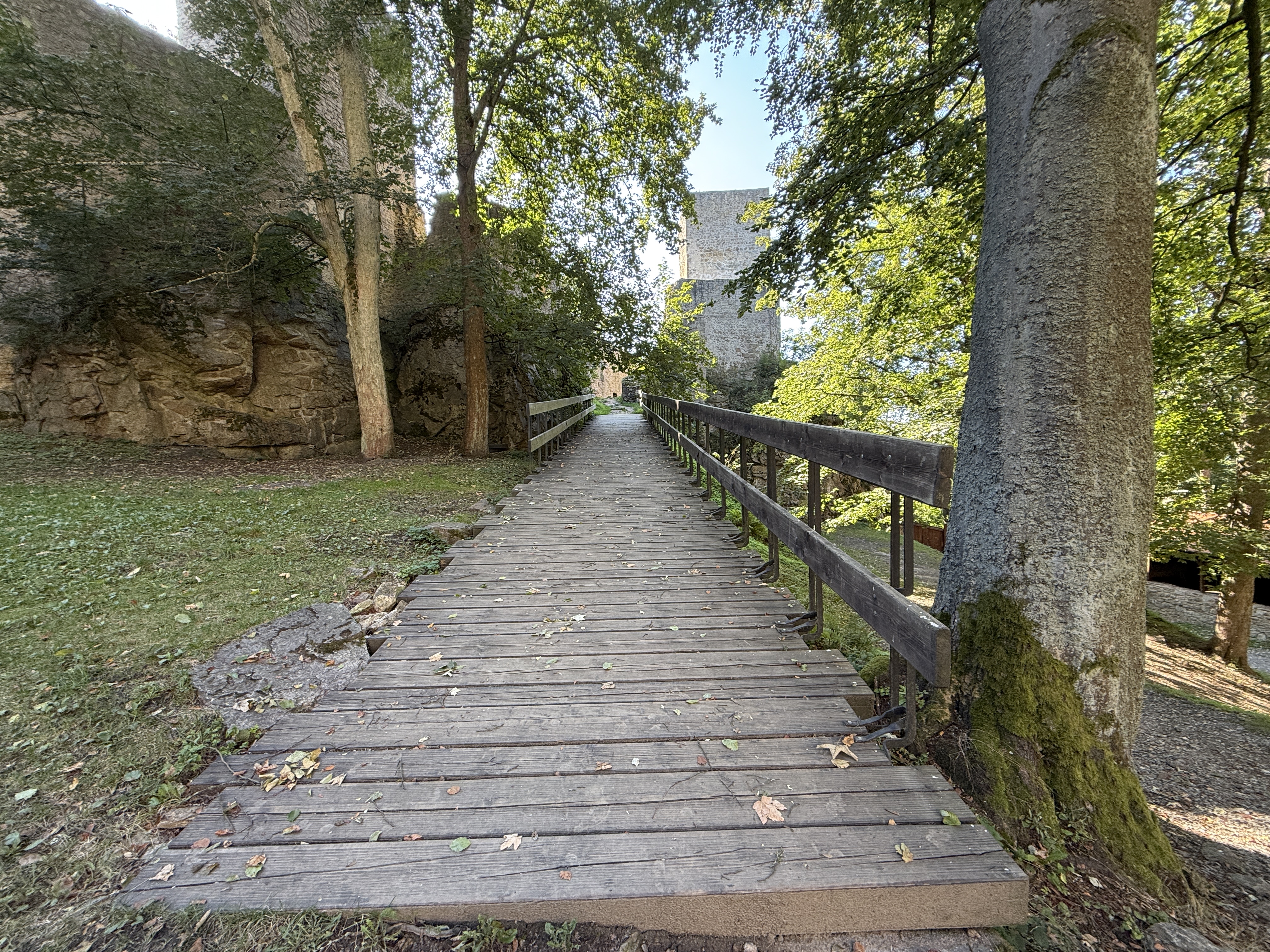 wooden pathway forest castle