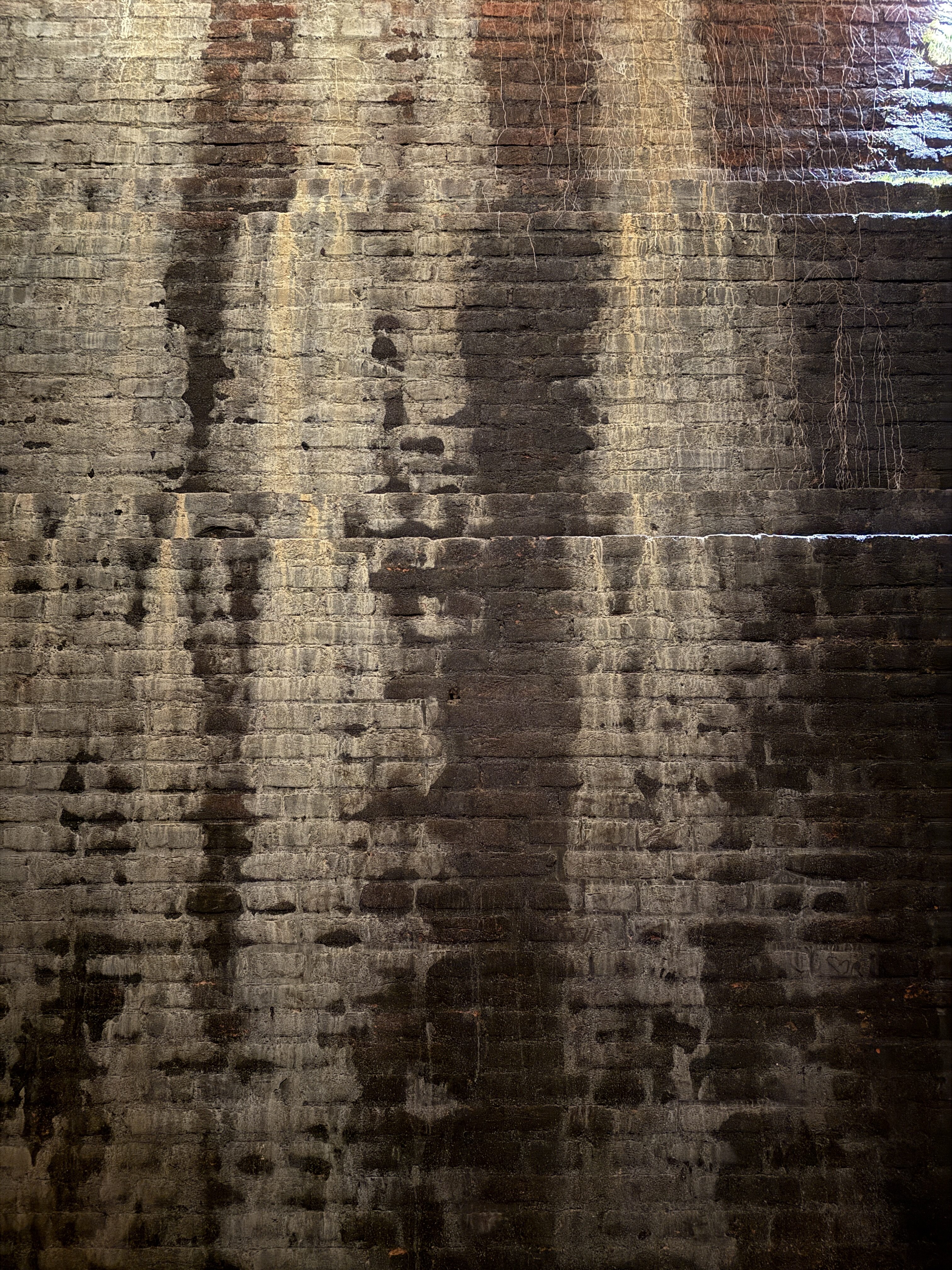 Brnenske vodojemy 00024