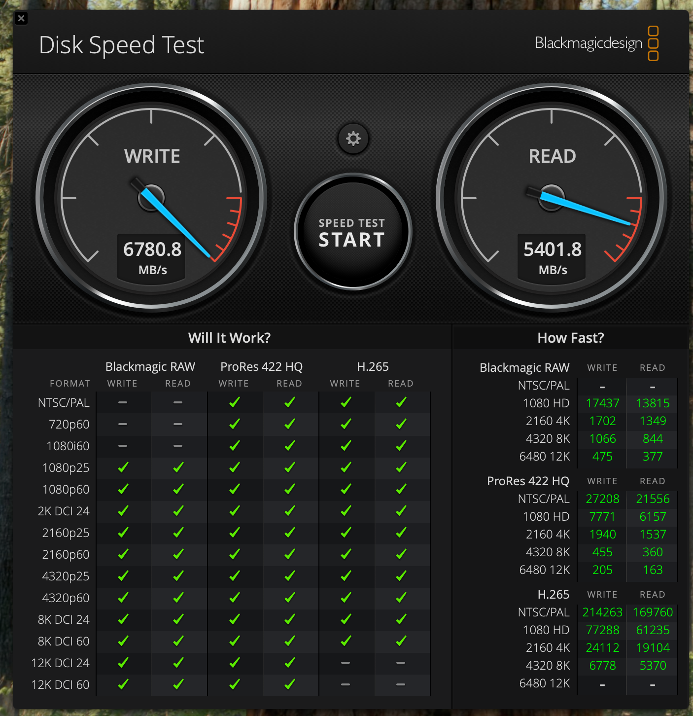 disk speed test results