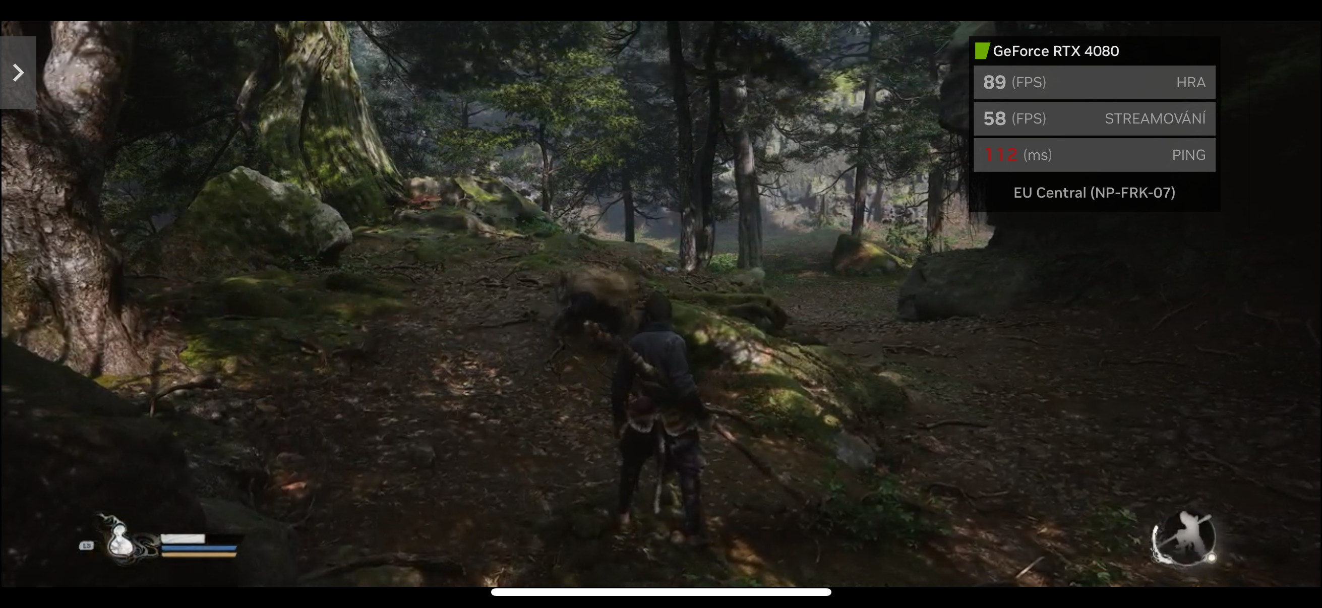 geforce rtx forest exploration