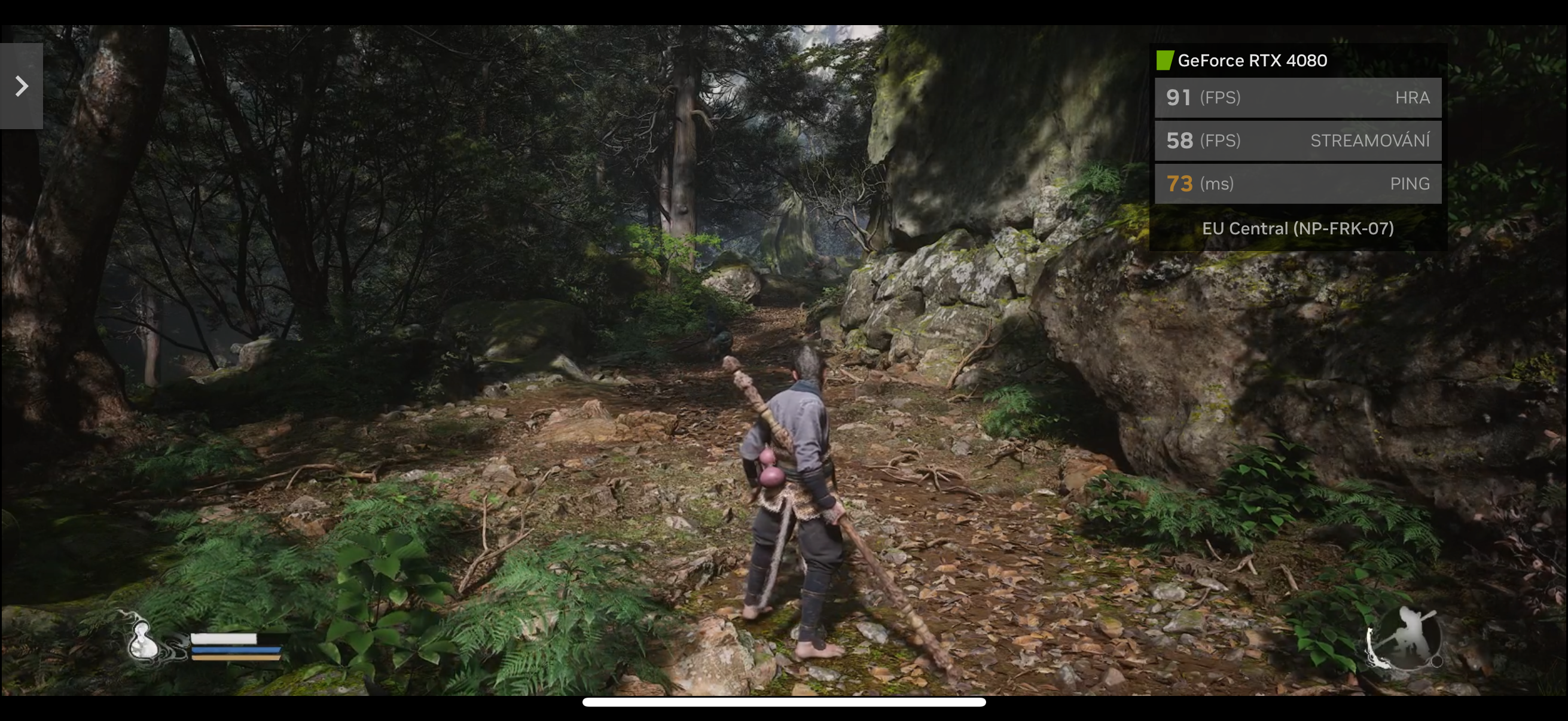 geforce rtx forest scene