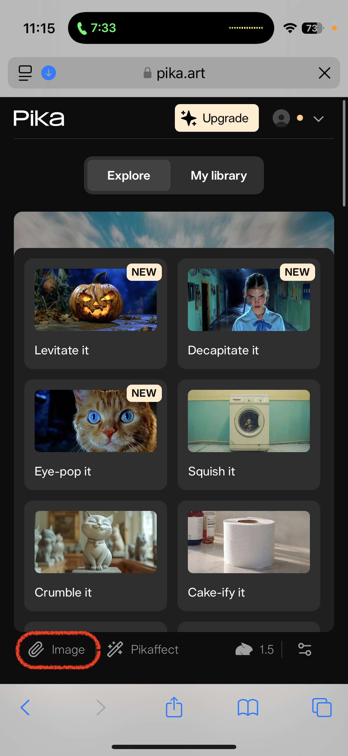pika art image options