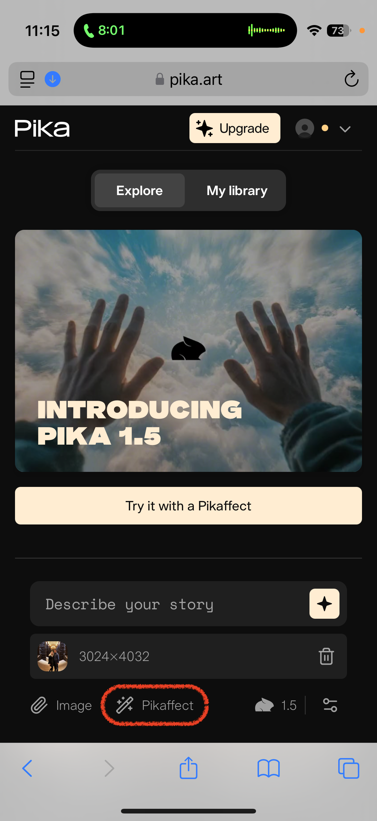 pika art introduction