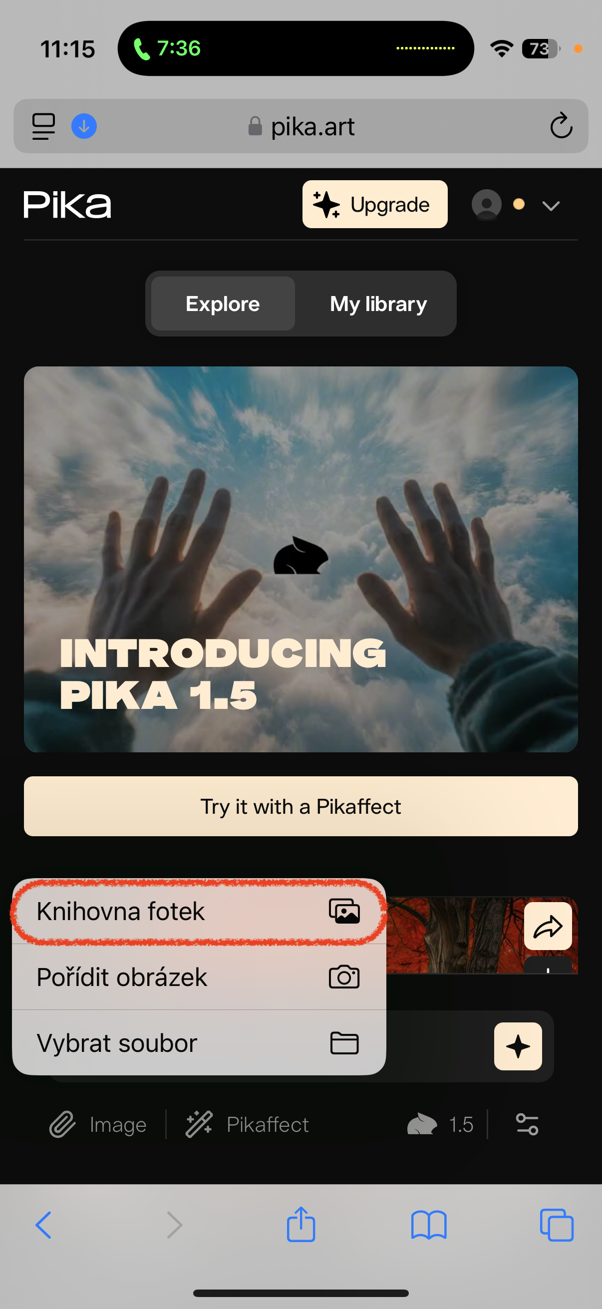 pika art photo library