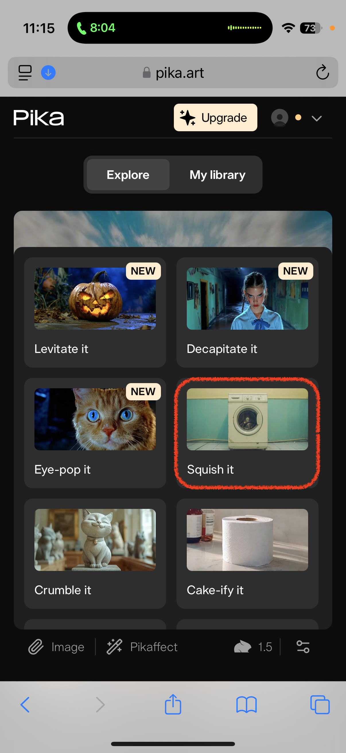 pika art squish effect