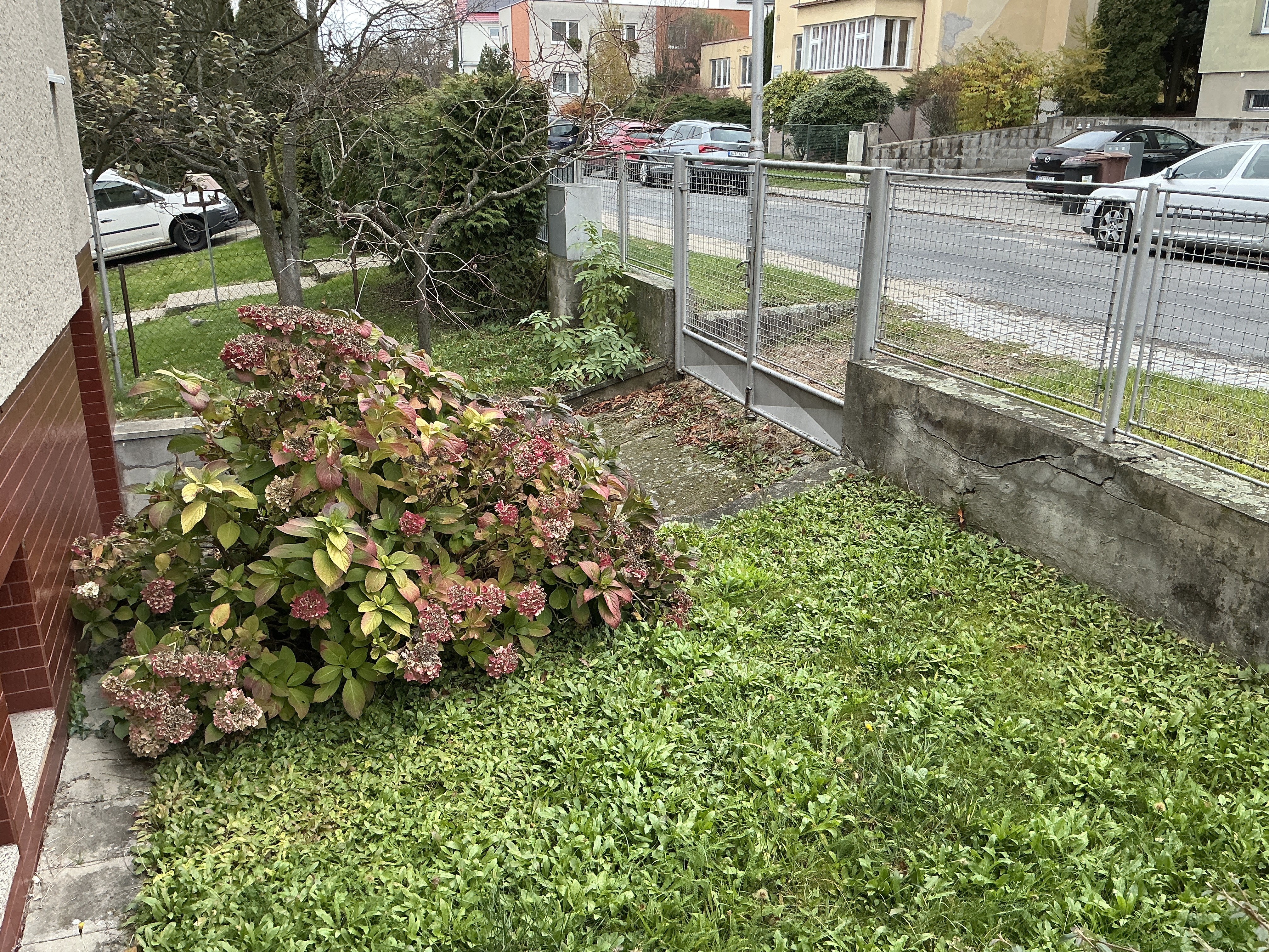 small garden with bushes and fence