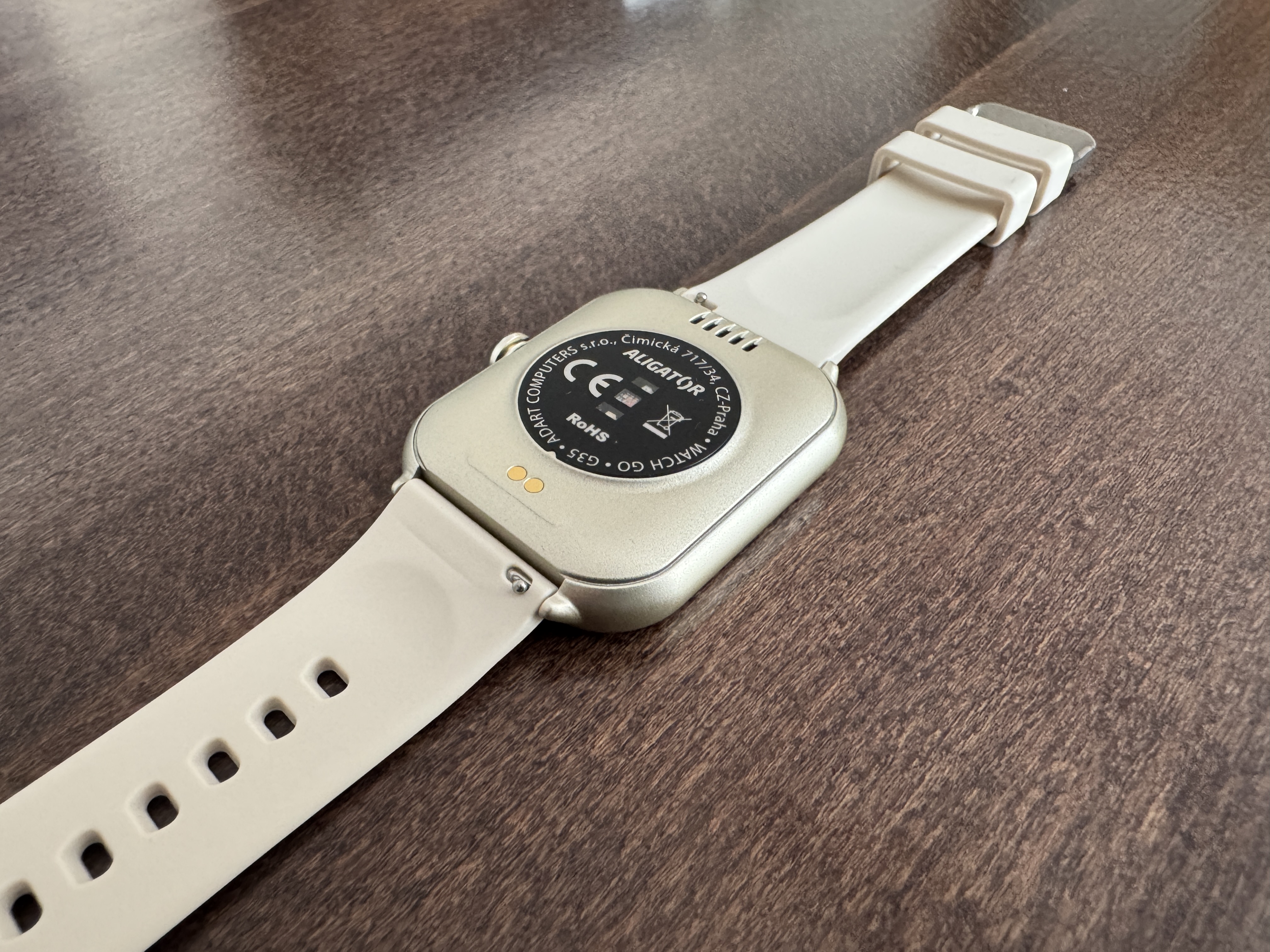 smartwatch back view