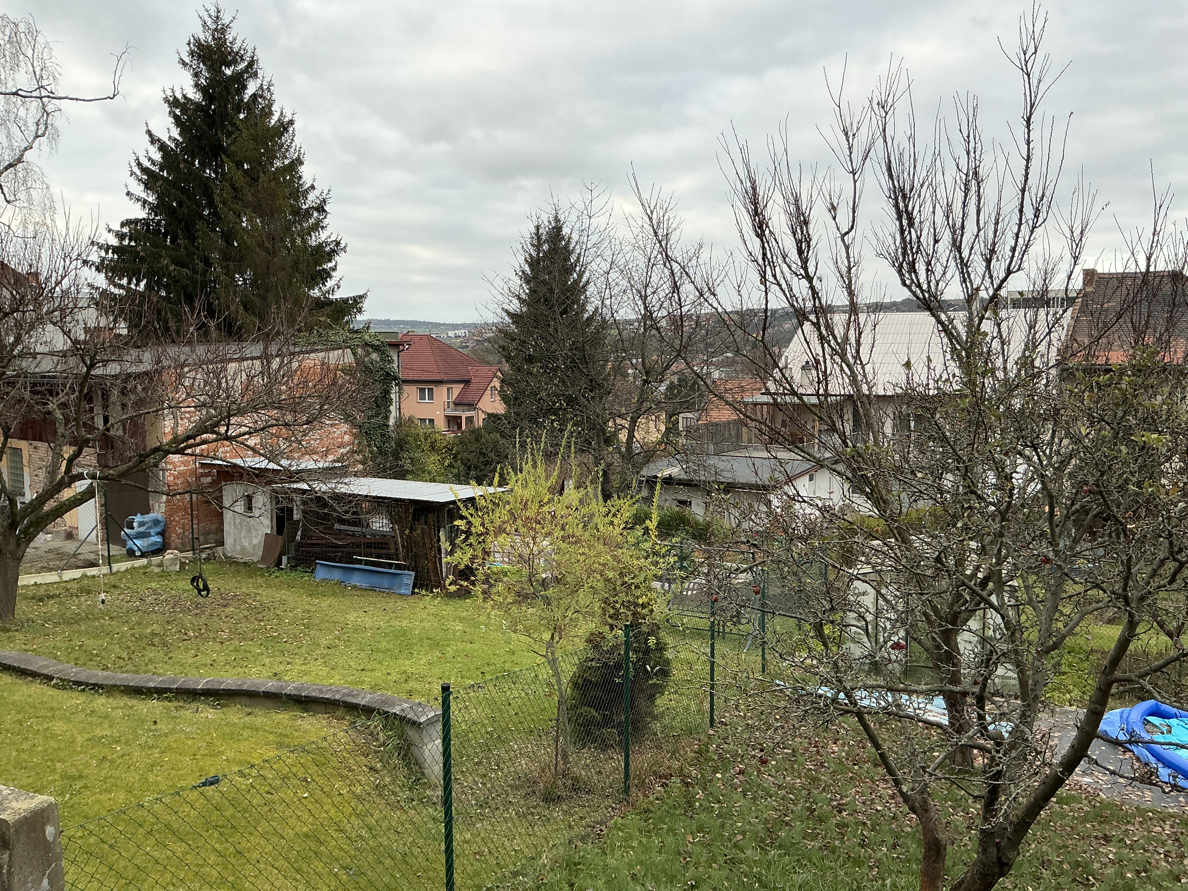 suburban backyard with trees