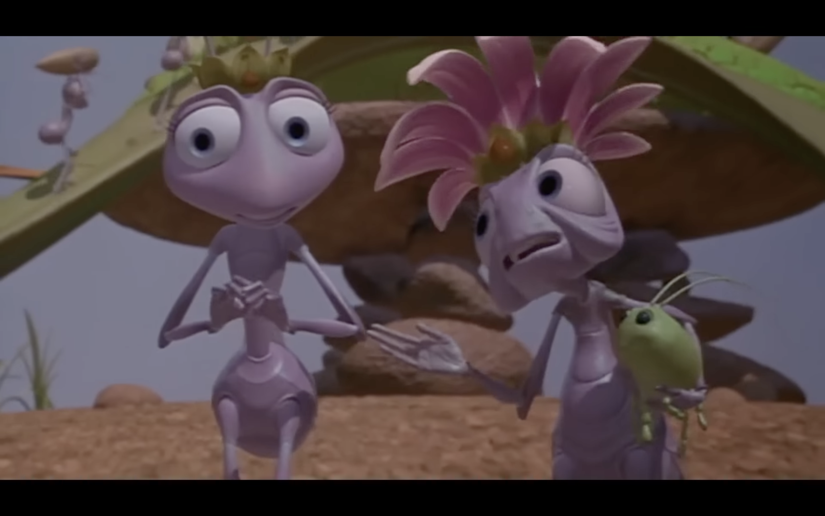 animated ants with flower hat