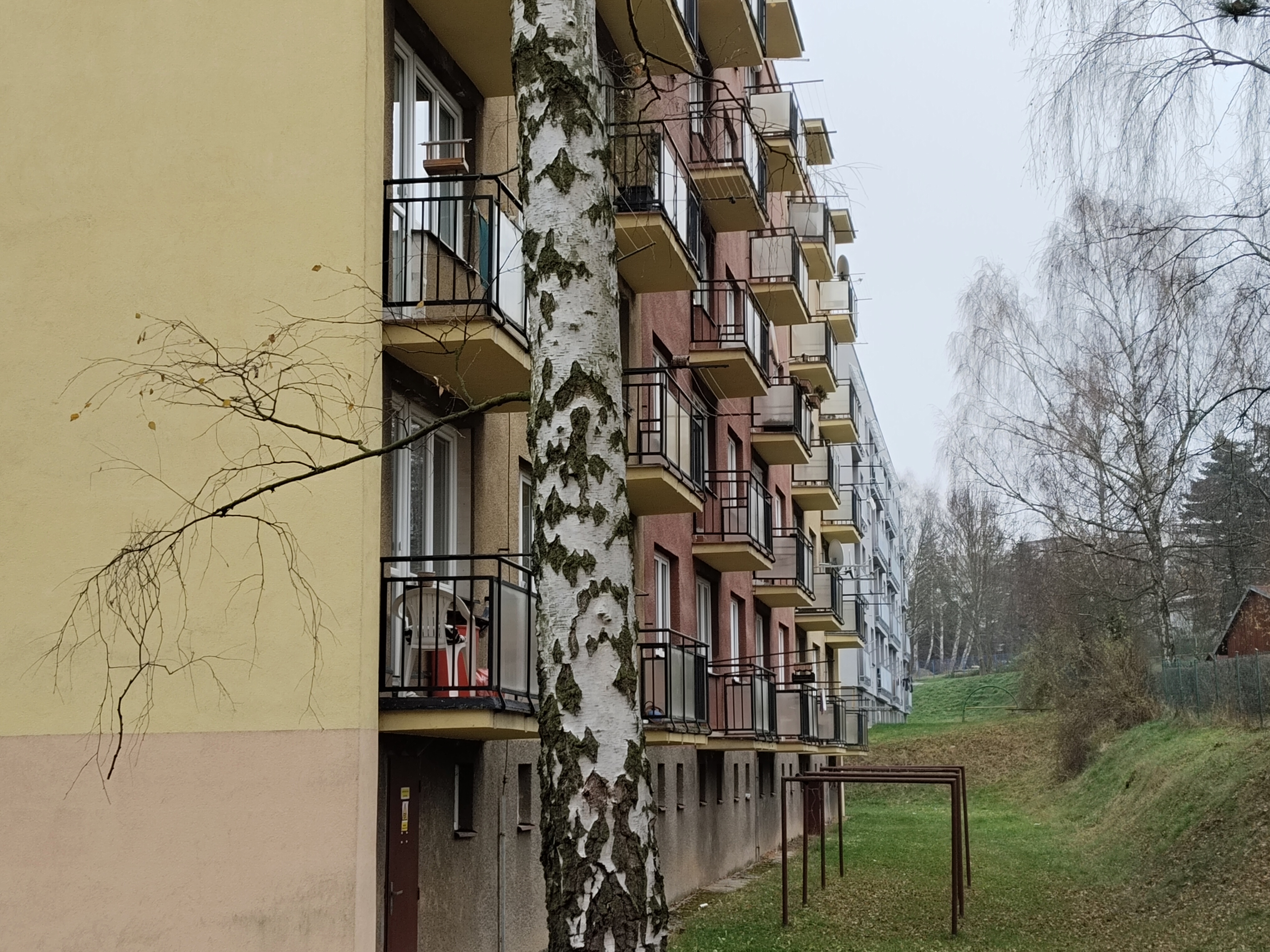 apartment balconies tree