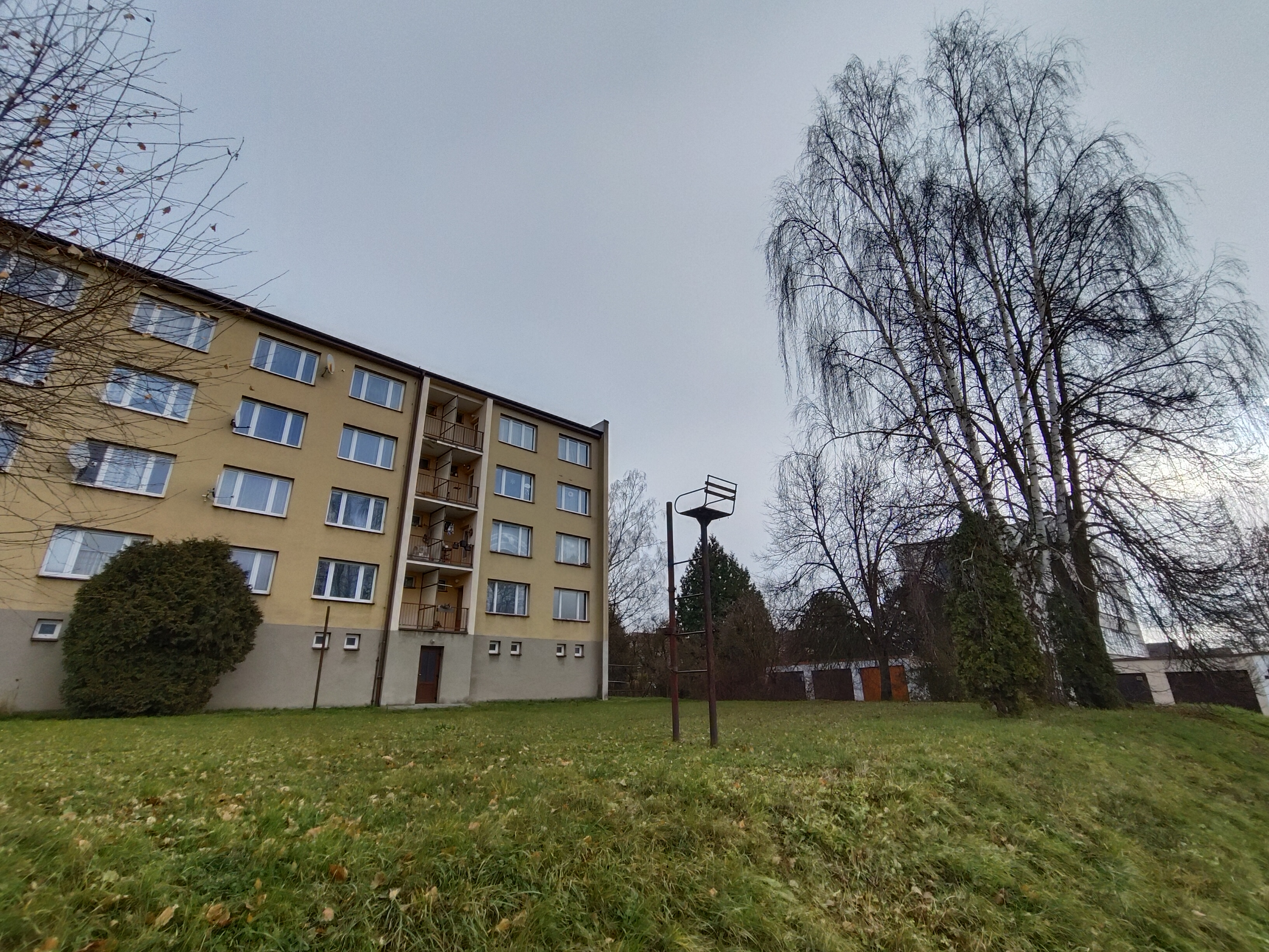 apartment building and trees