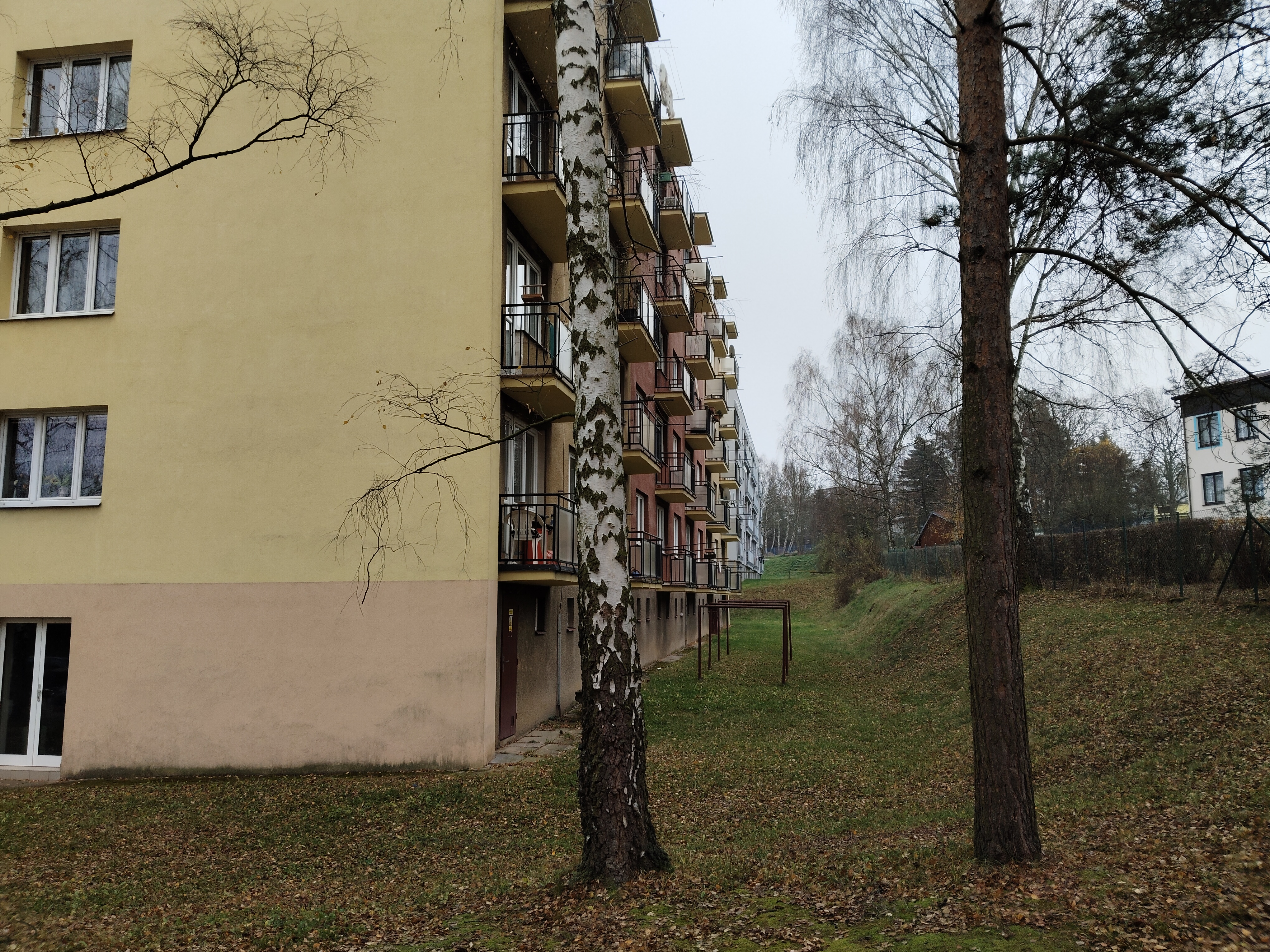 apartment building trees closeup