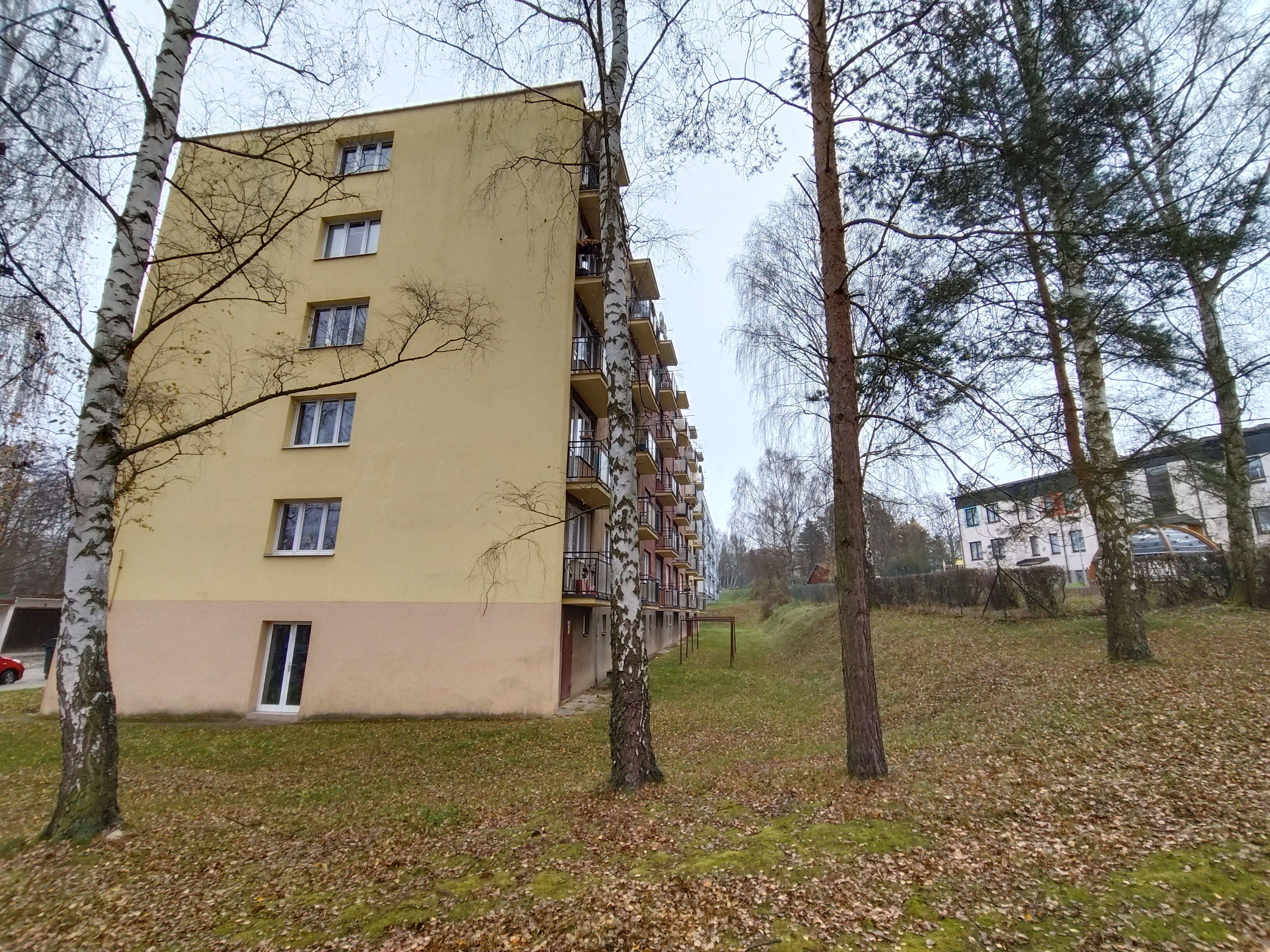 apartment building trees