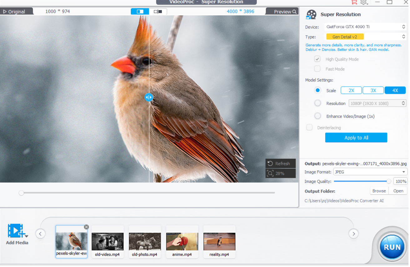 cardinal bird in snow