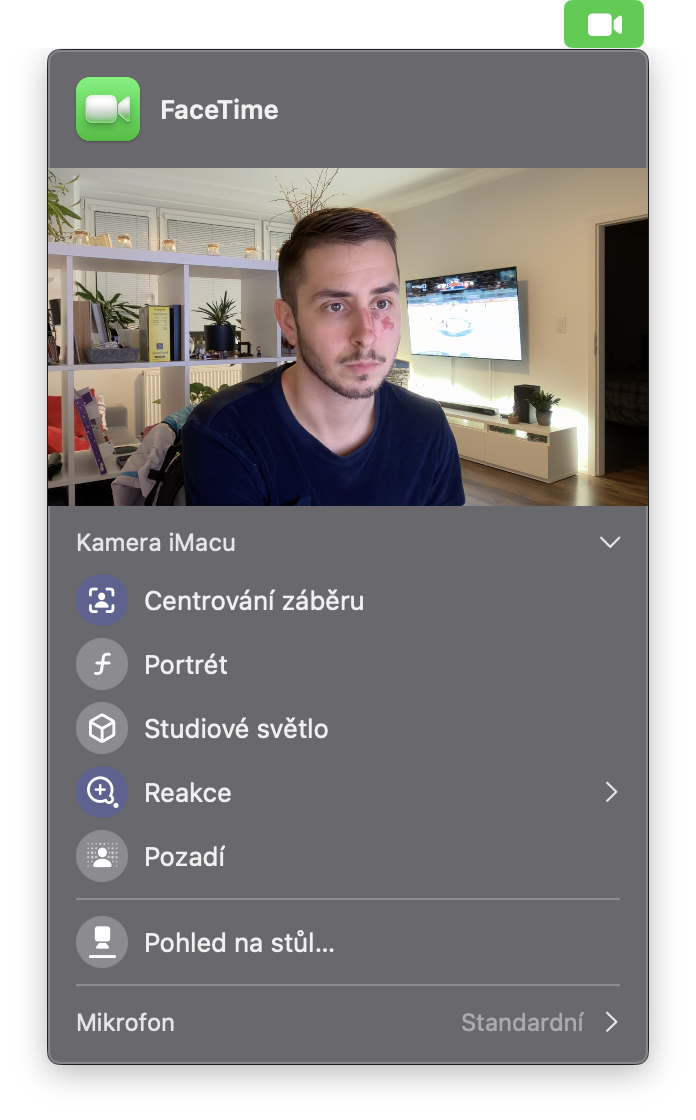 facetime call interface