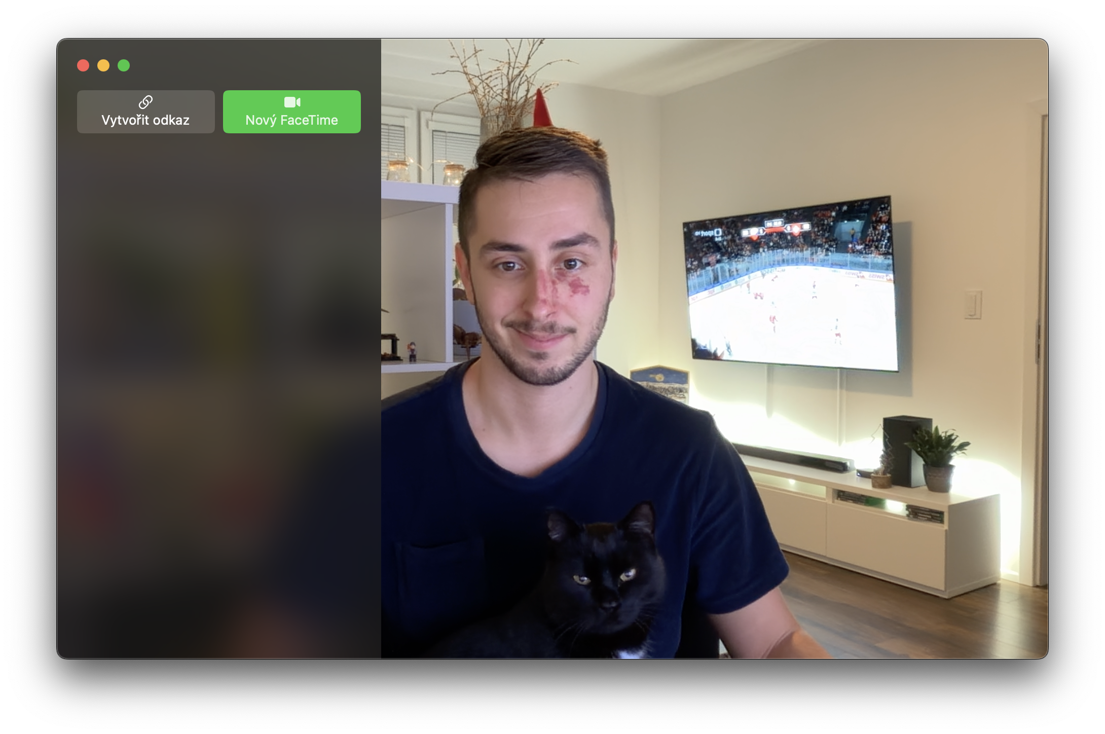 facetime call with cat