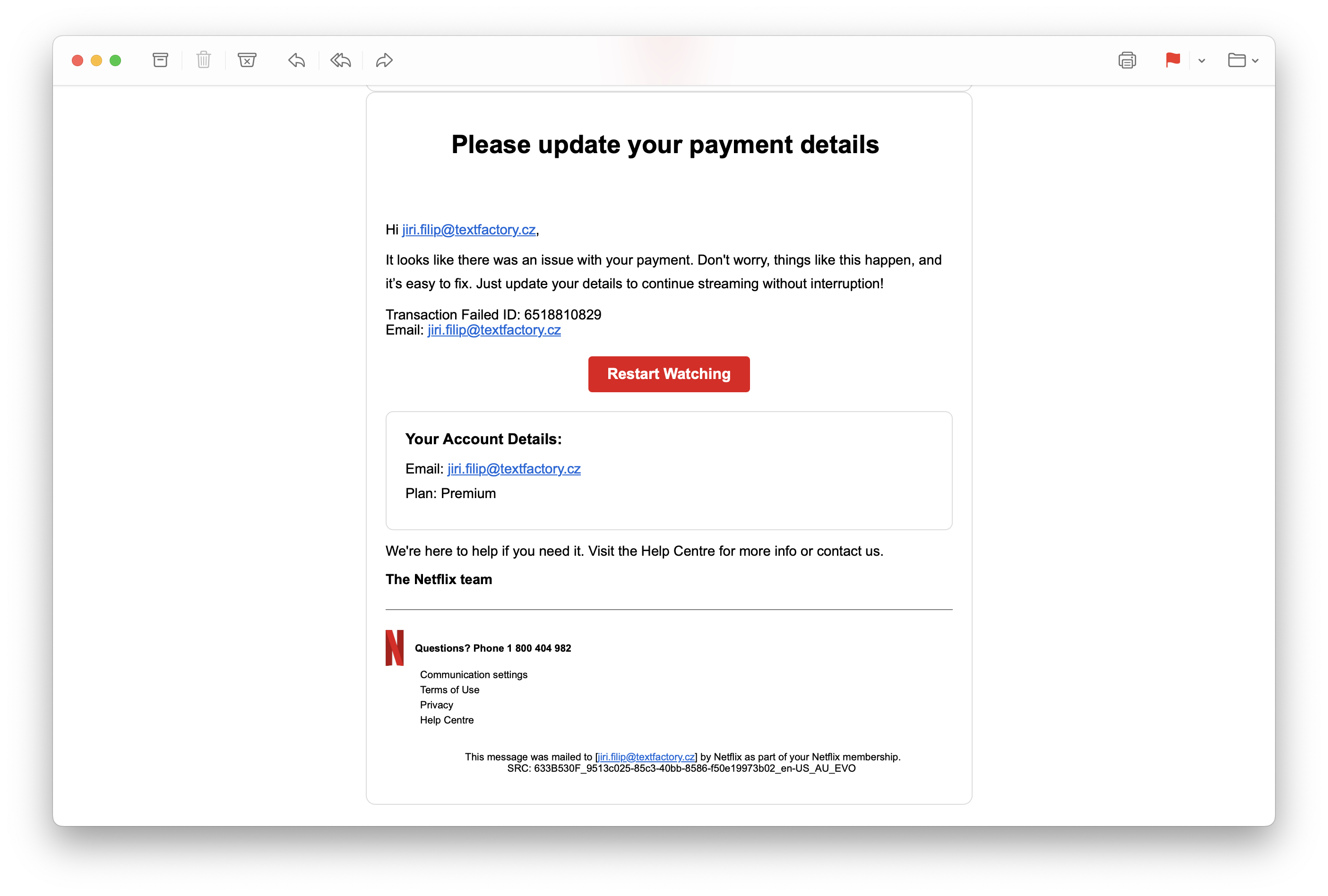 netflix payment update email details