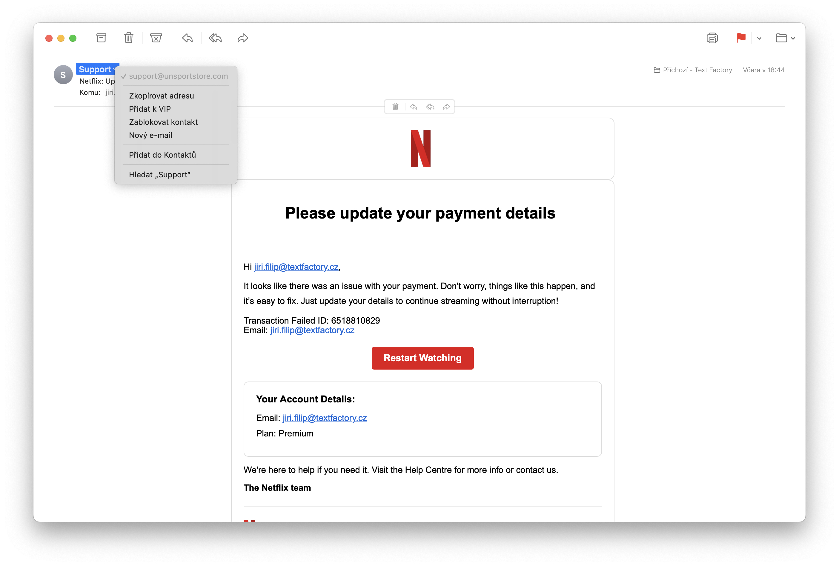 netflix payment update email