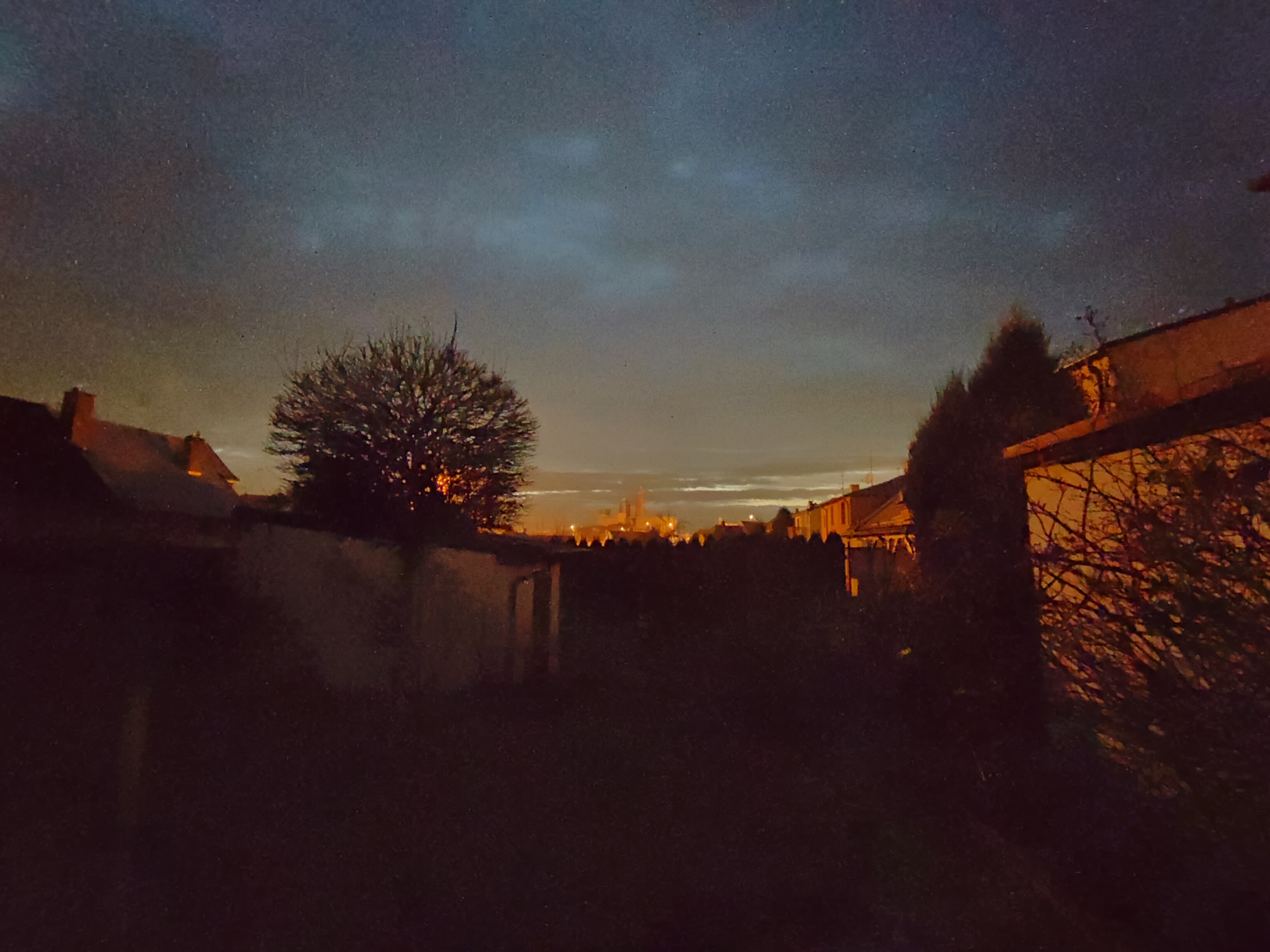 night skyline with trees