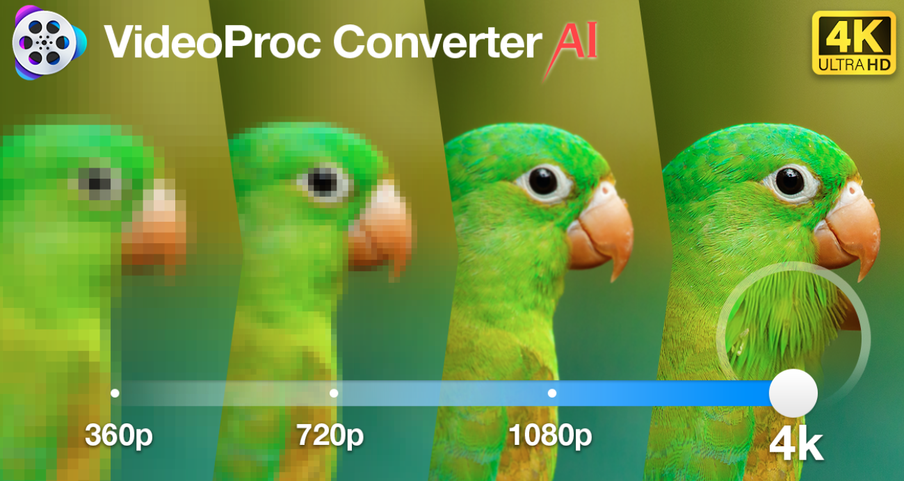 parrot image resolution comparison