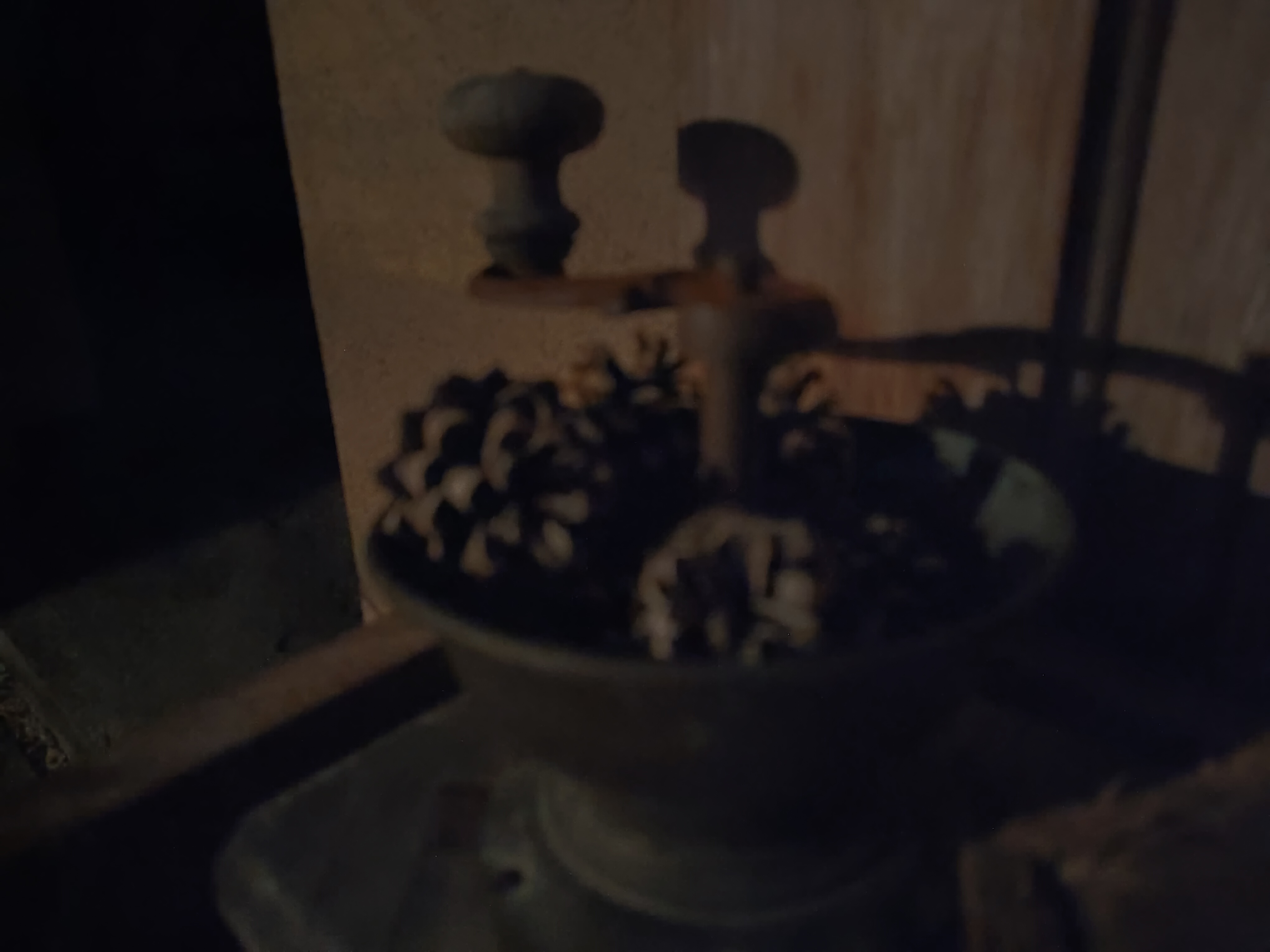 shadowy pinecones in bowl