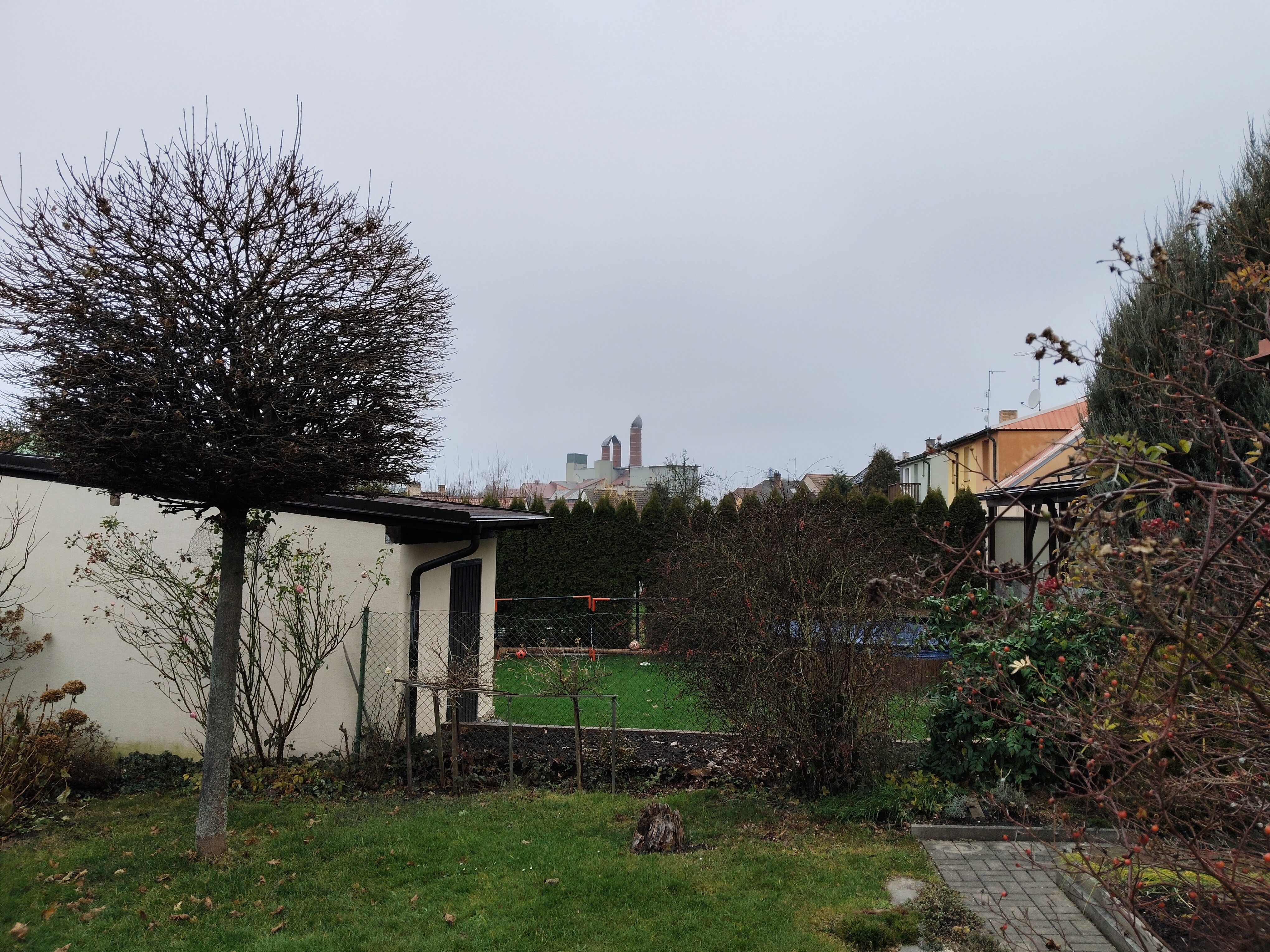 suburban backyard closeup