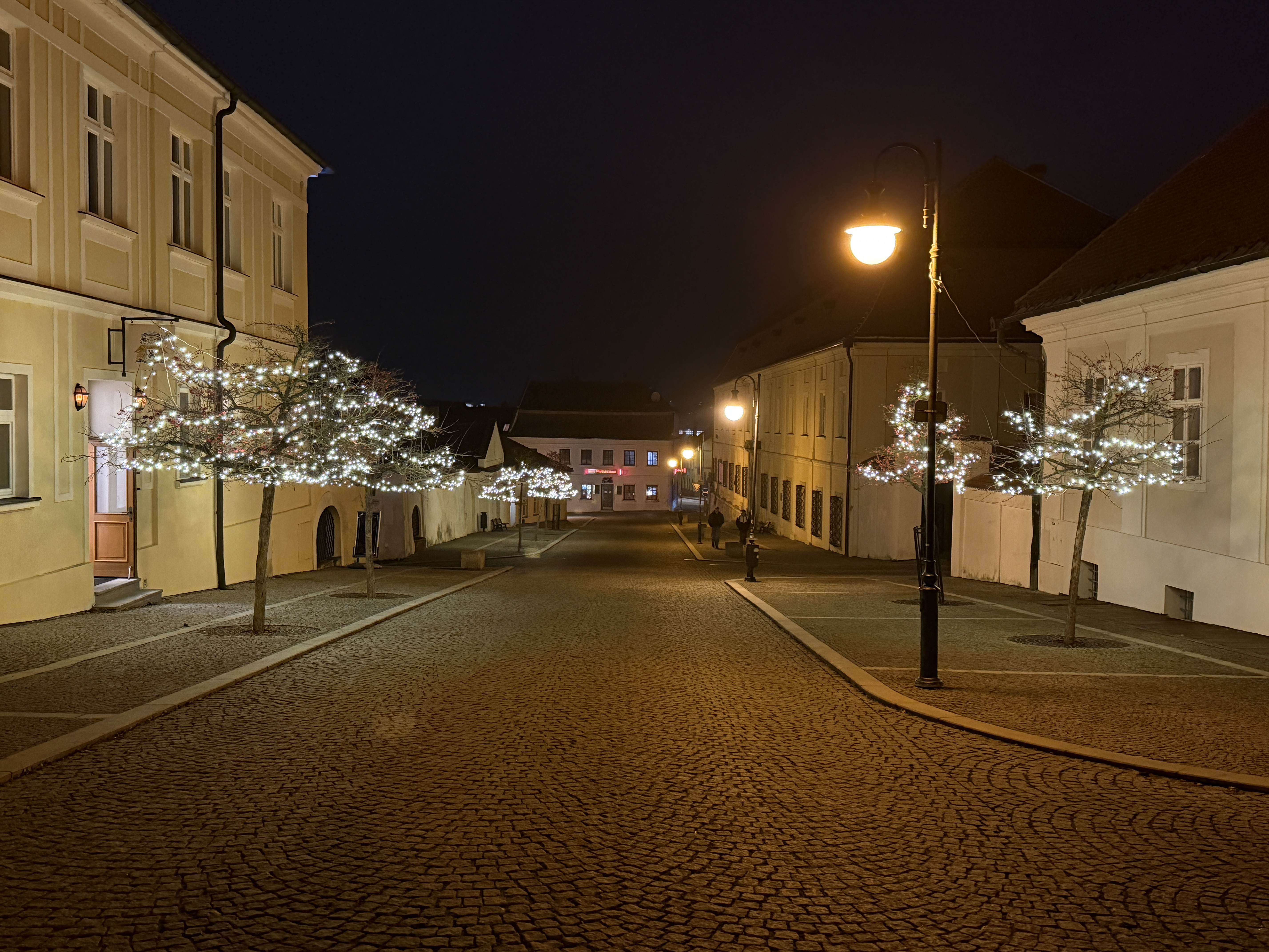 decorated trees street night