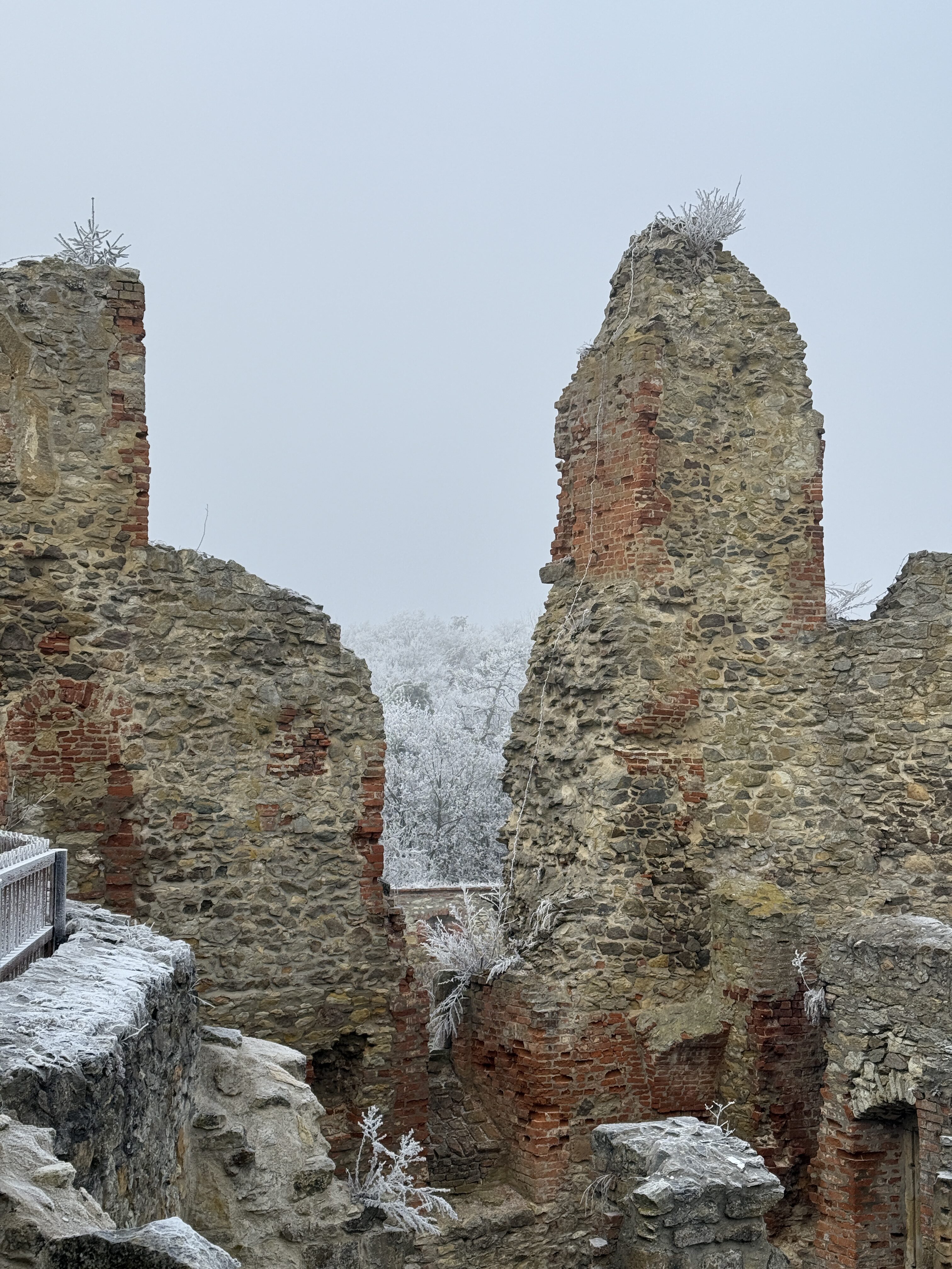 iPhone 16 Pro foto LsA 13