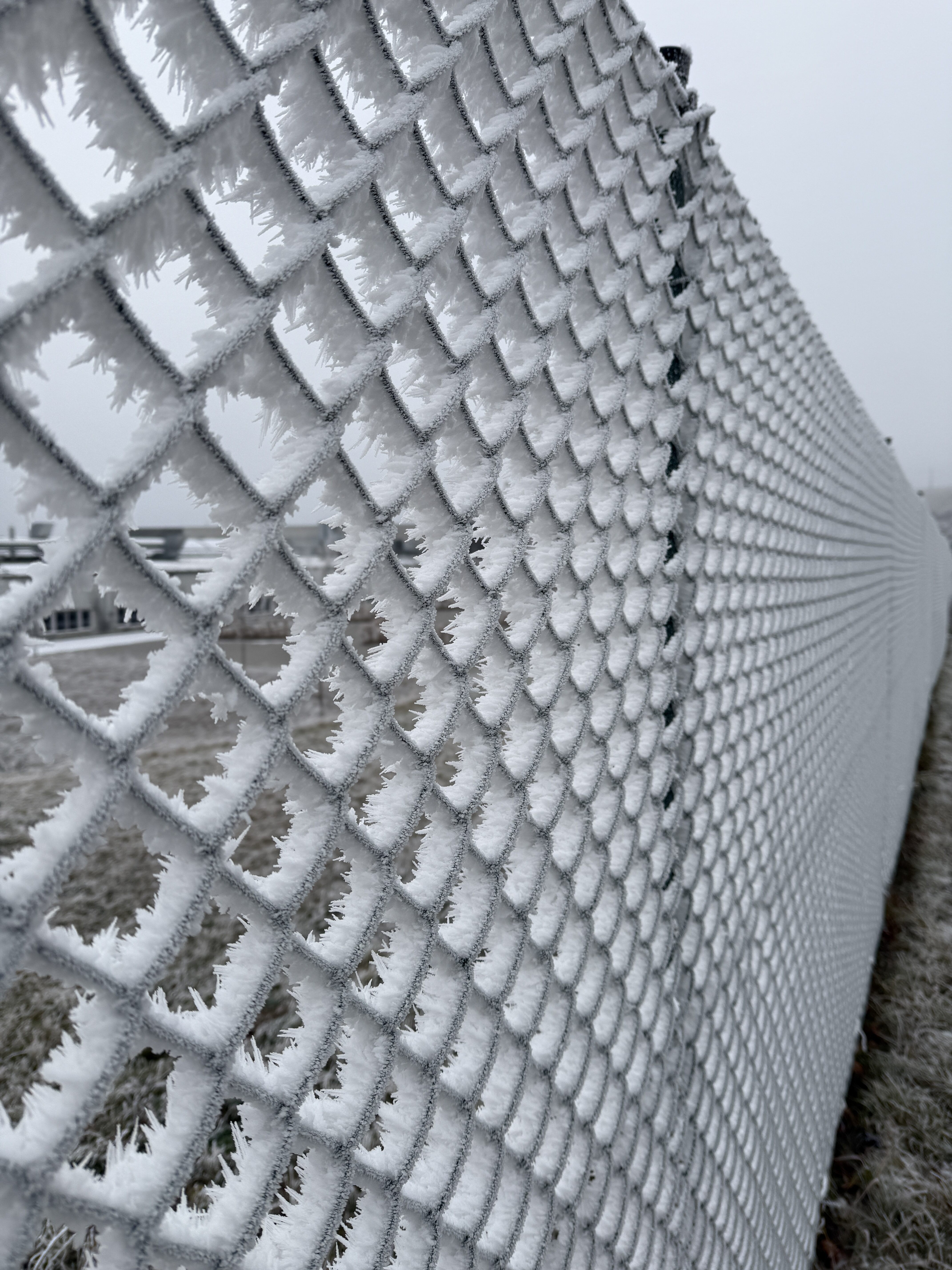 iPhone 16 Pro foto LsA 33