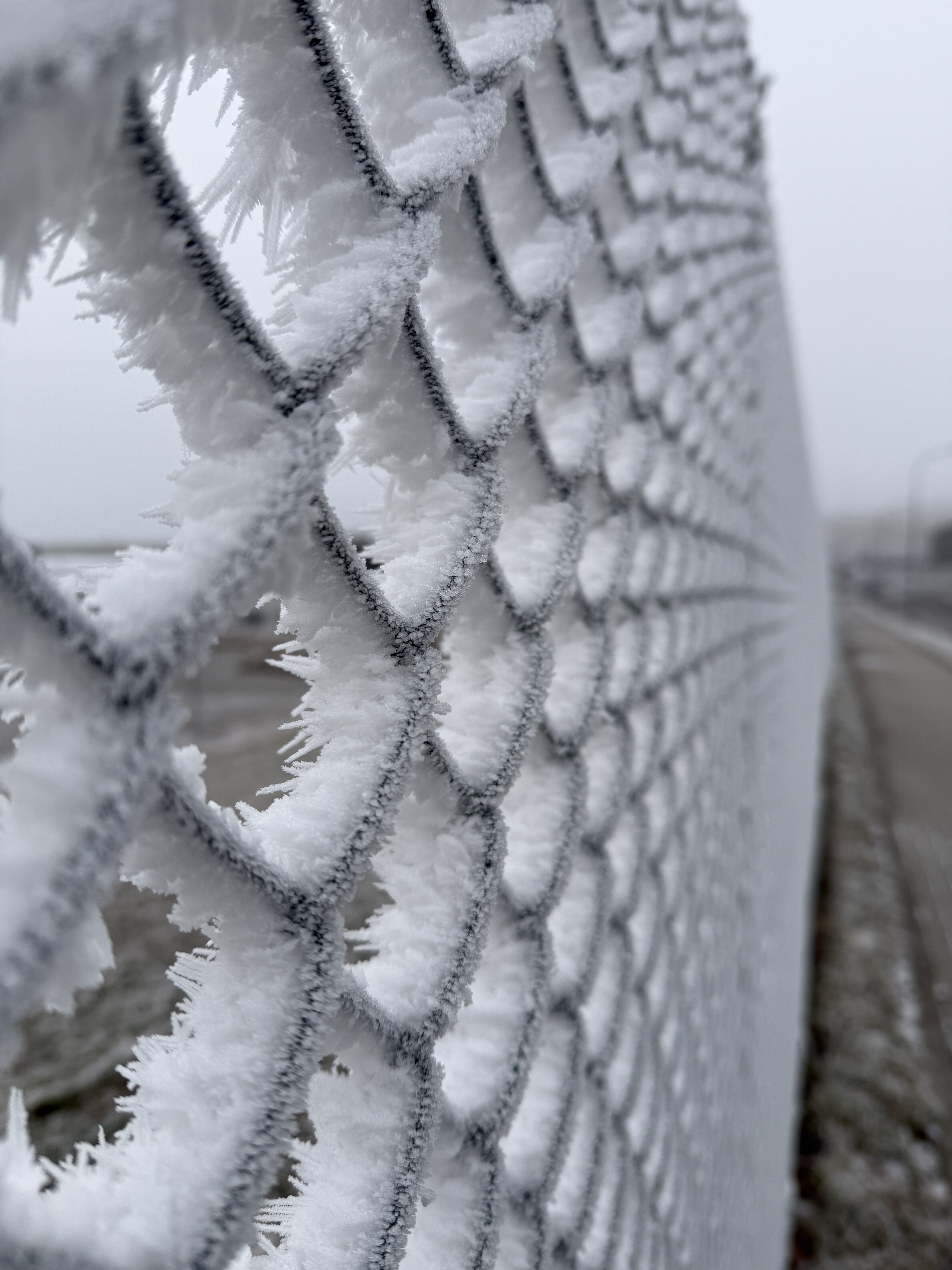 iPhone 16 Pro foto LsA 34