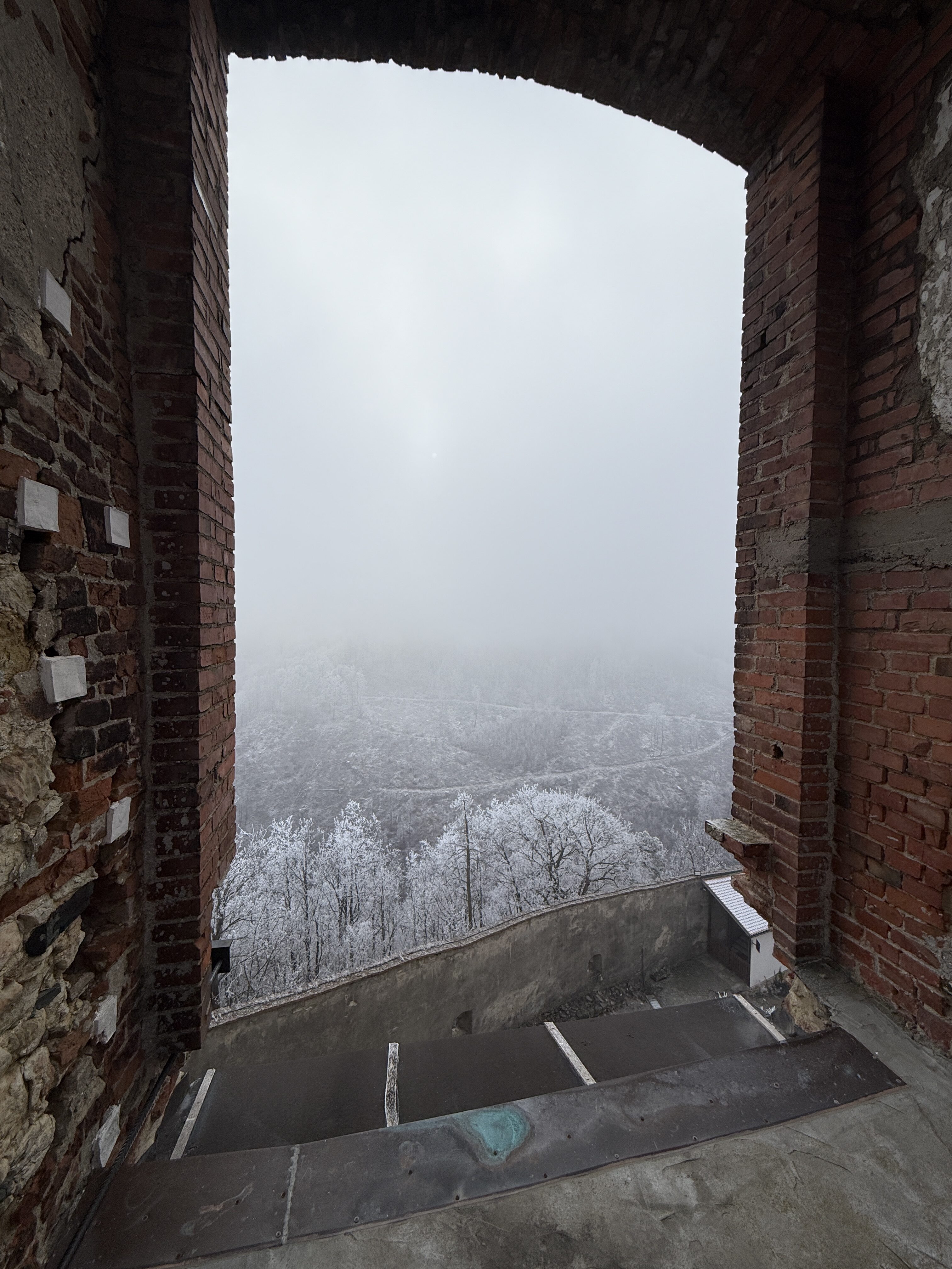 iPhone 16 Pro foto LsA 9