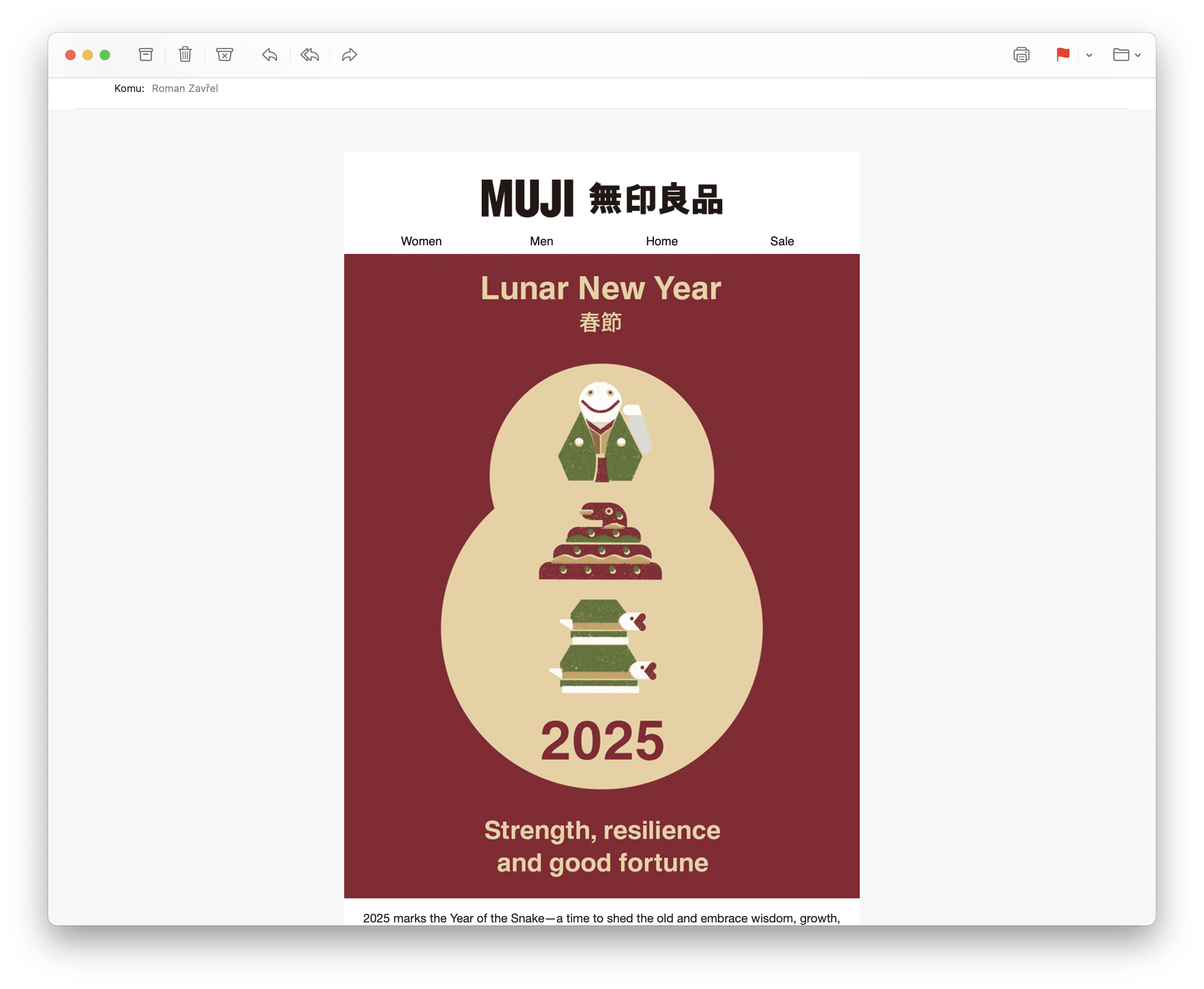 lunar new year poster