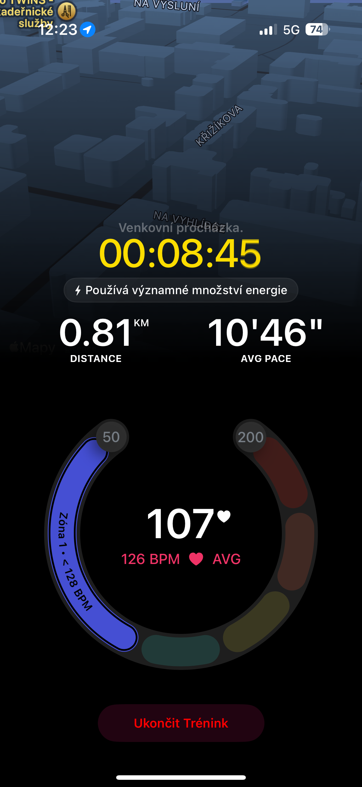 workout summary heart rate
