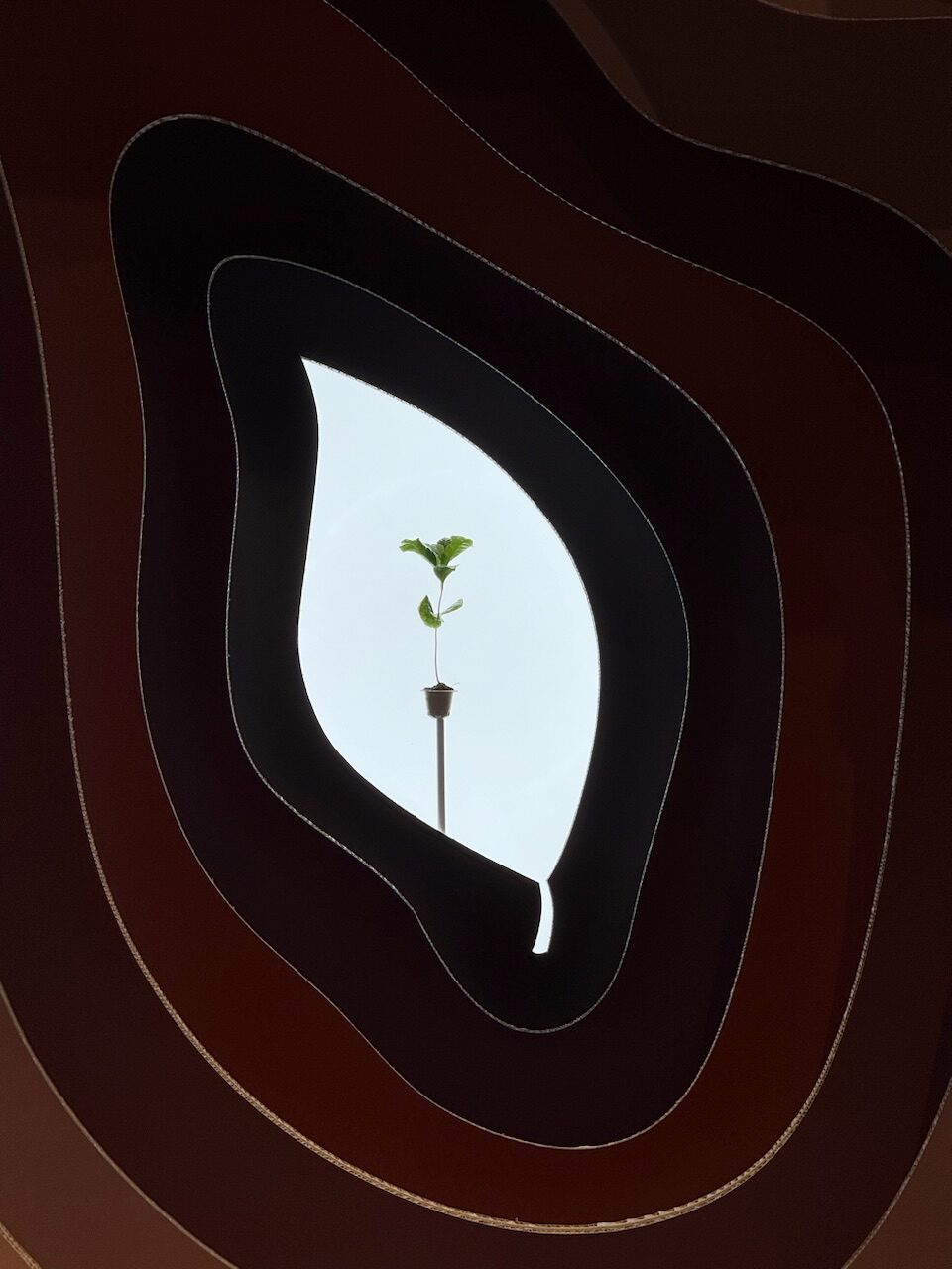 iPhone 16 Pro photo 13