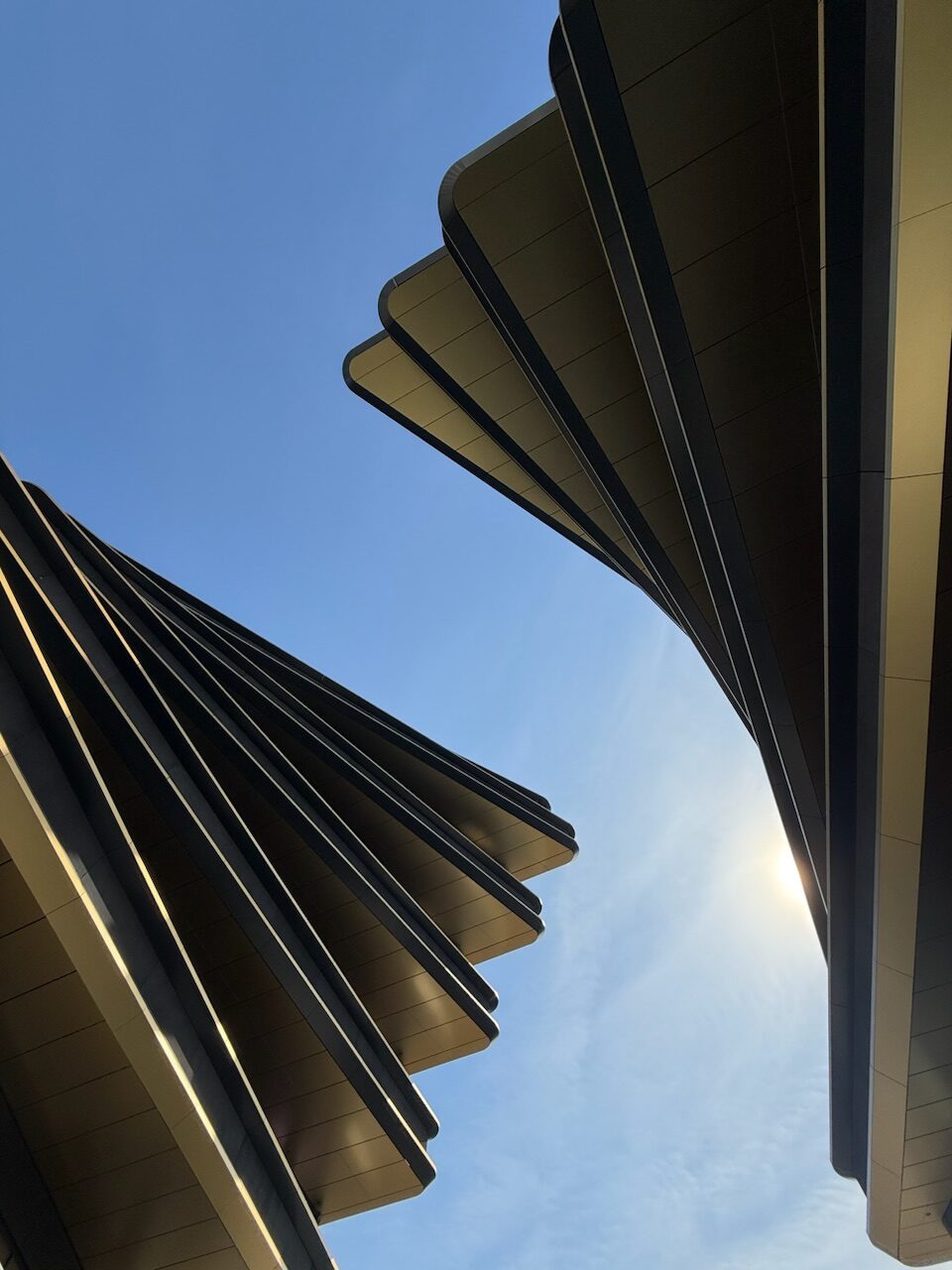 iPhone 16 Pro photo 2