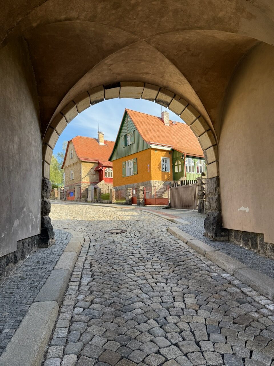 iPhone 16 Pro photo 5