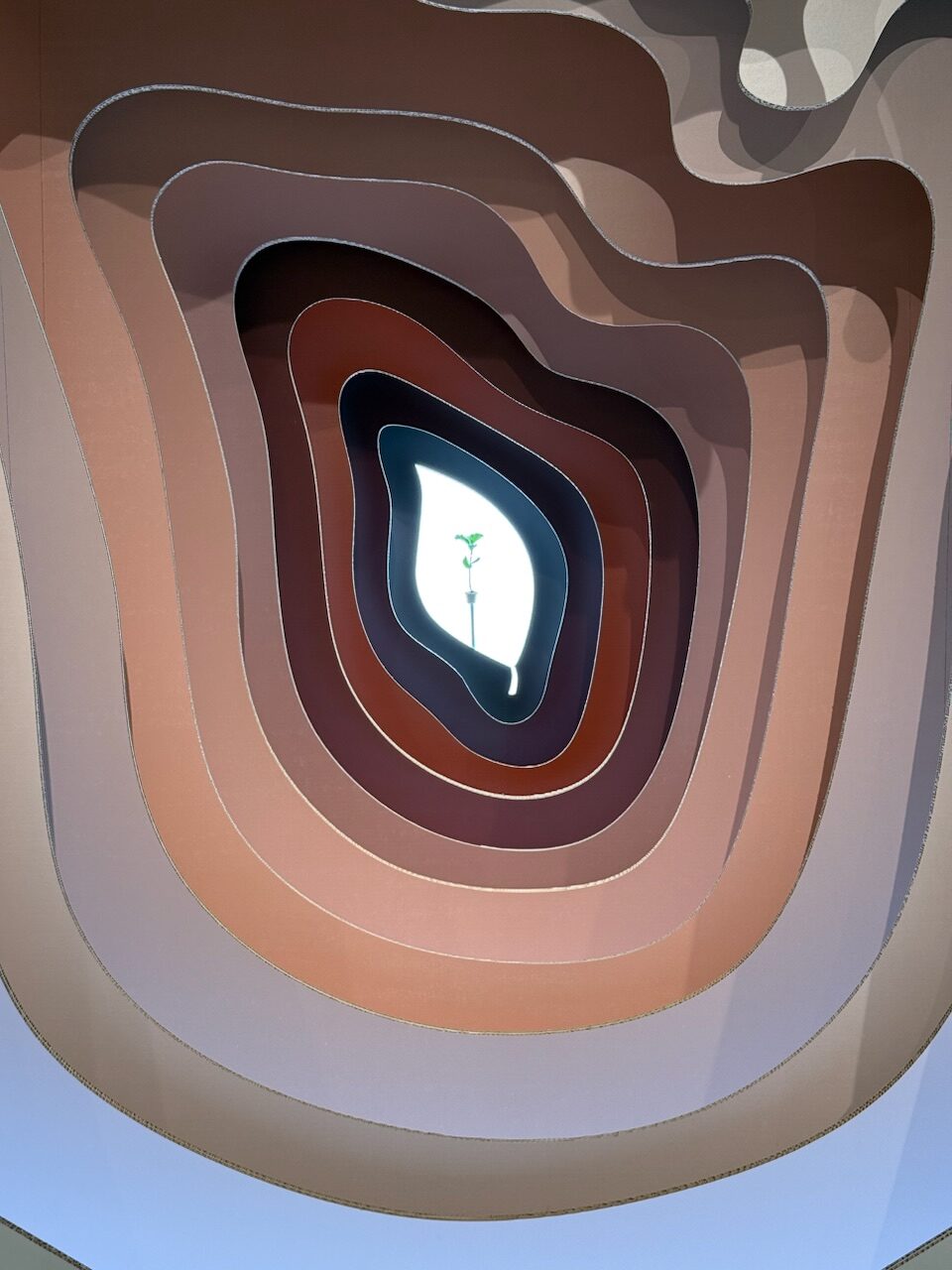 iPhone 16 Pro photo 6