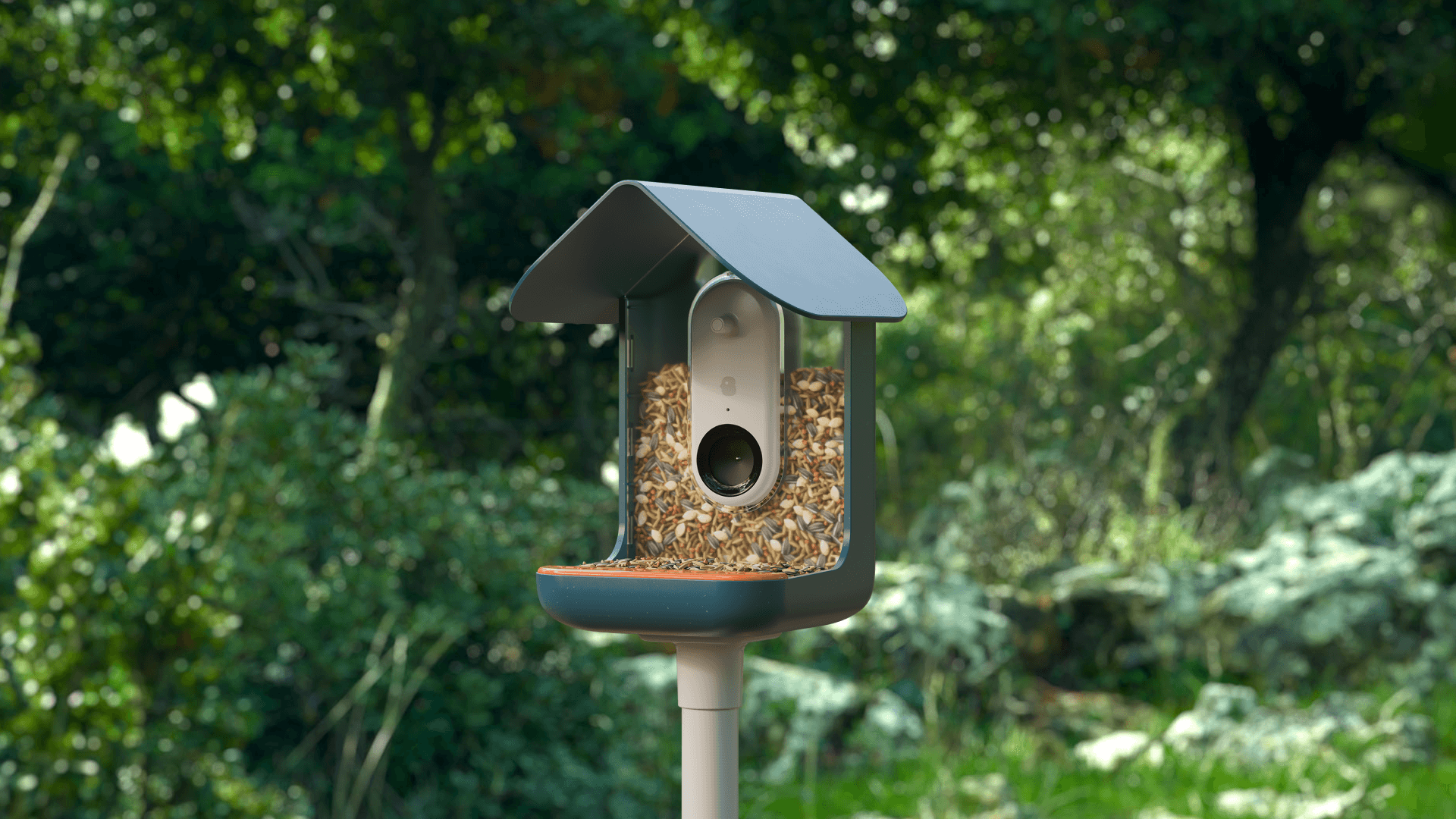 Bird_Buddy_lifestyle_image_2 Bird_Buddy_lifestyle_image_2