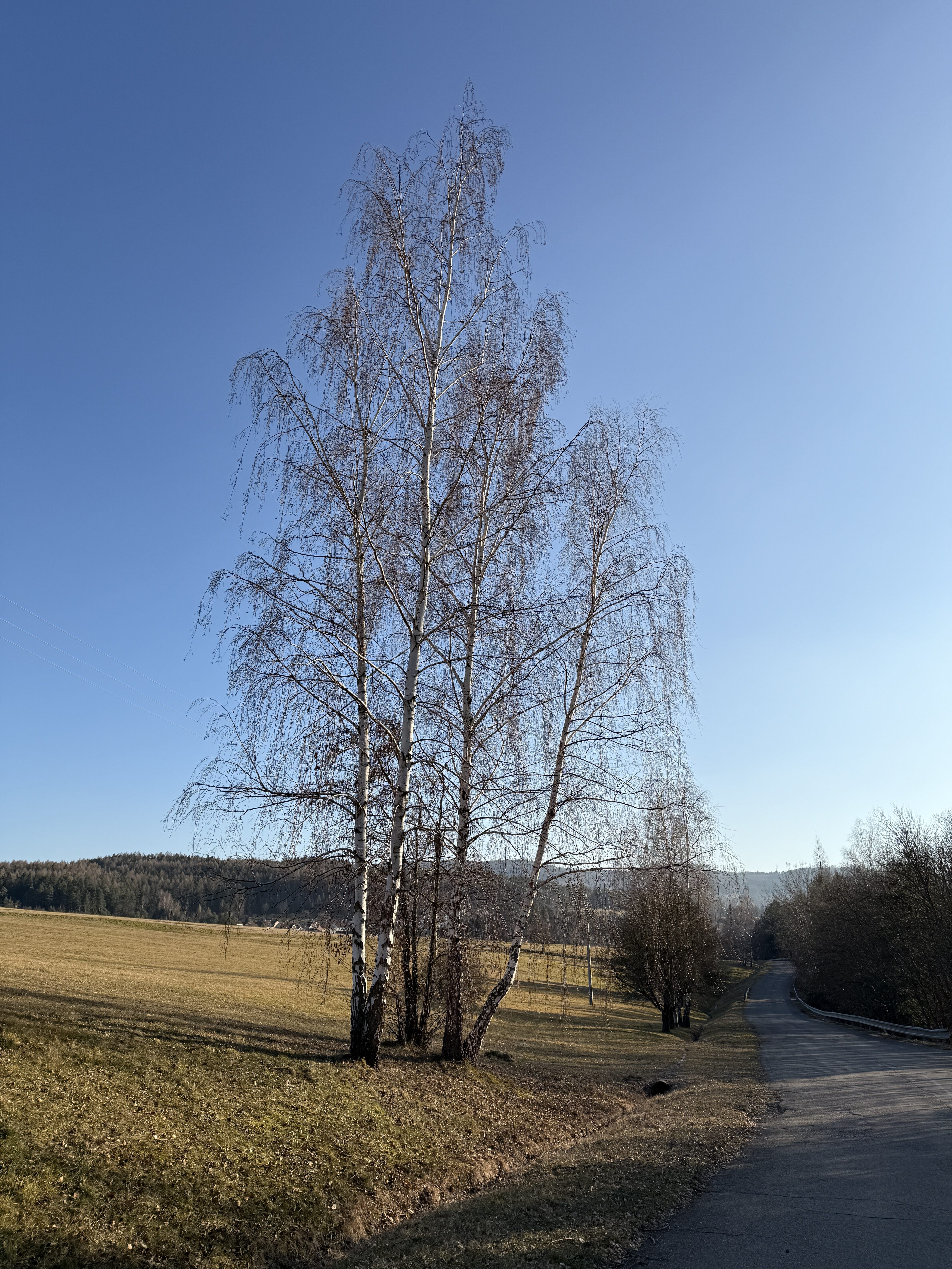 Foto iPhone 16 Pro 11