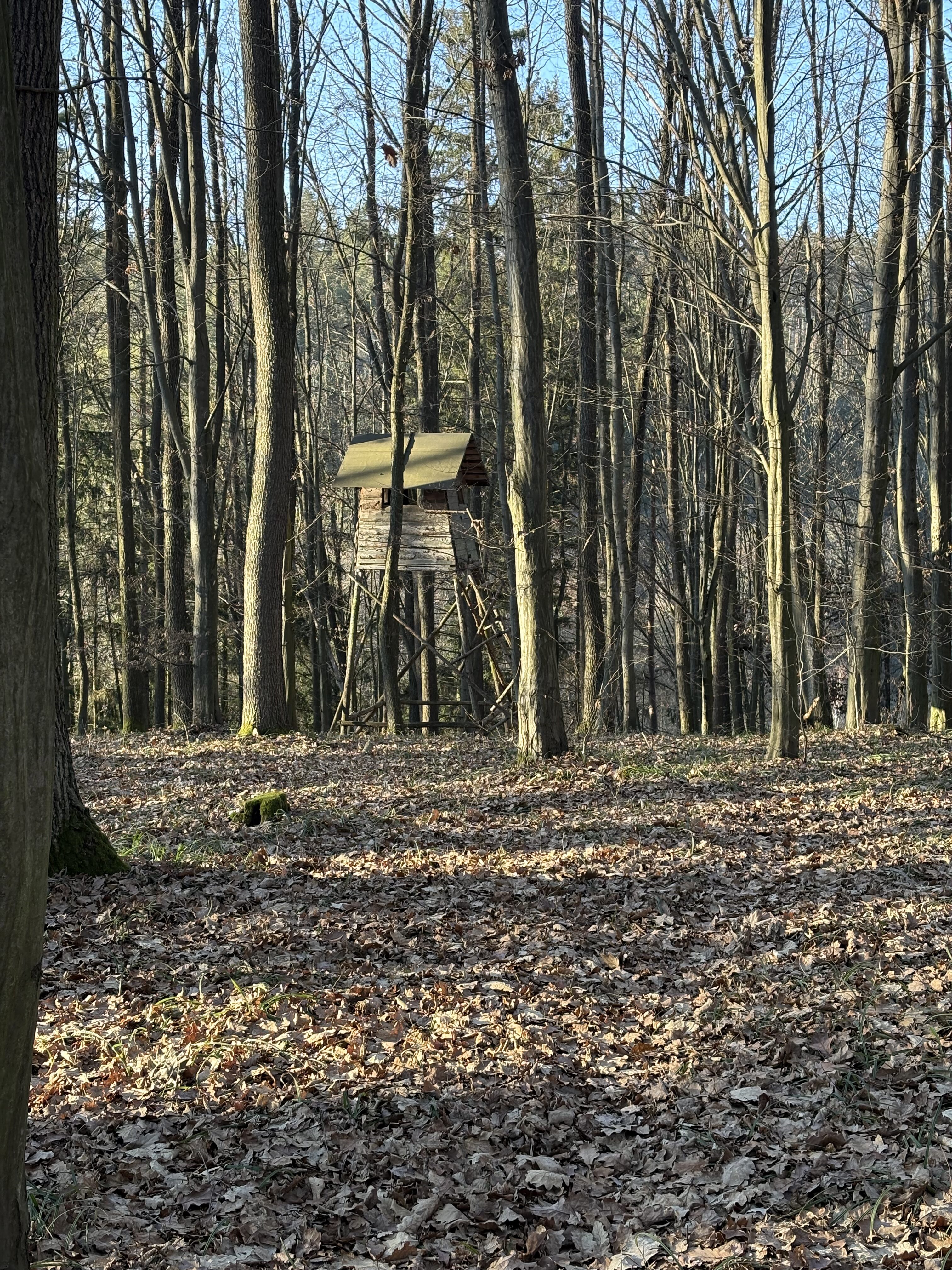 iPhone 16 Plus fotky 14.14