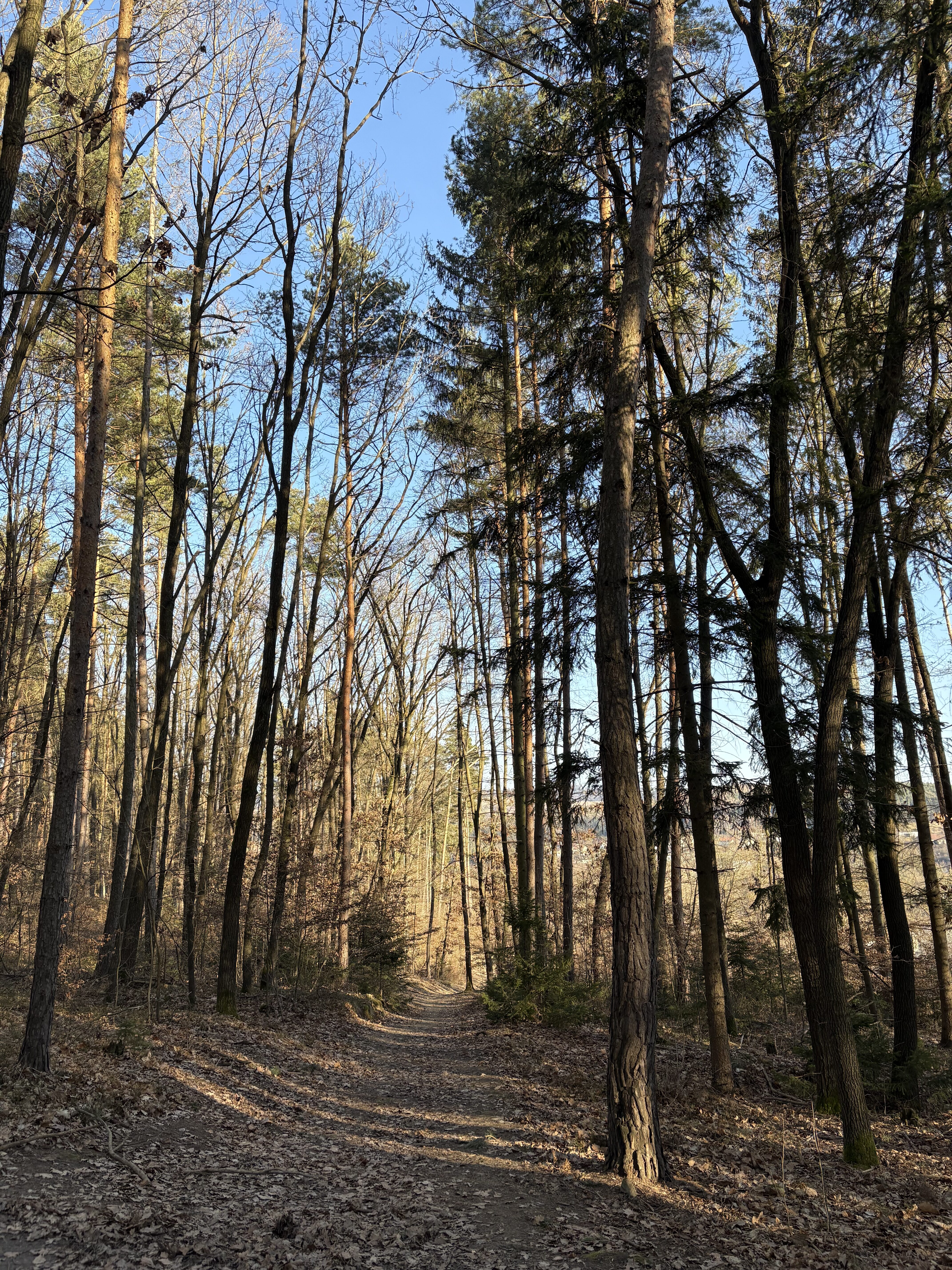 iPhone 16 Plus fotky 6.6