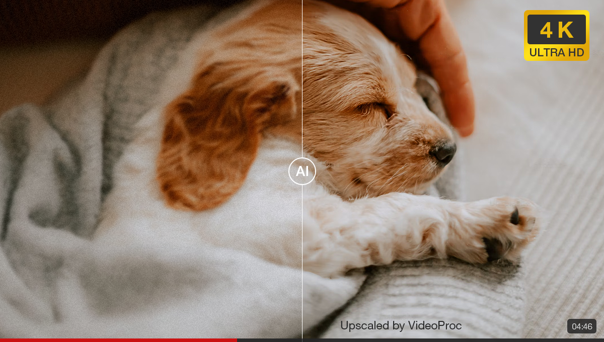 ai super resolution video dog2 thumbnail