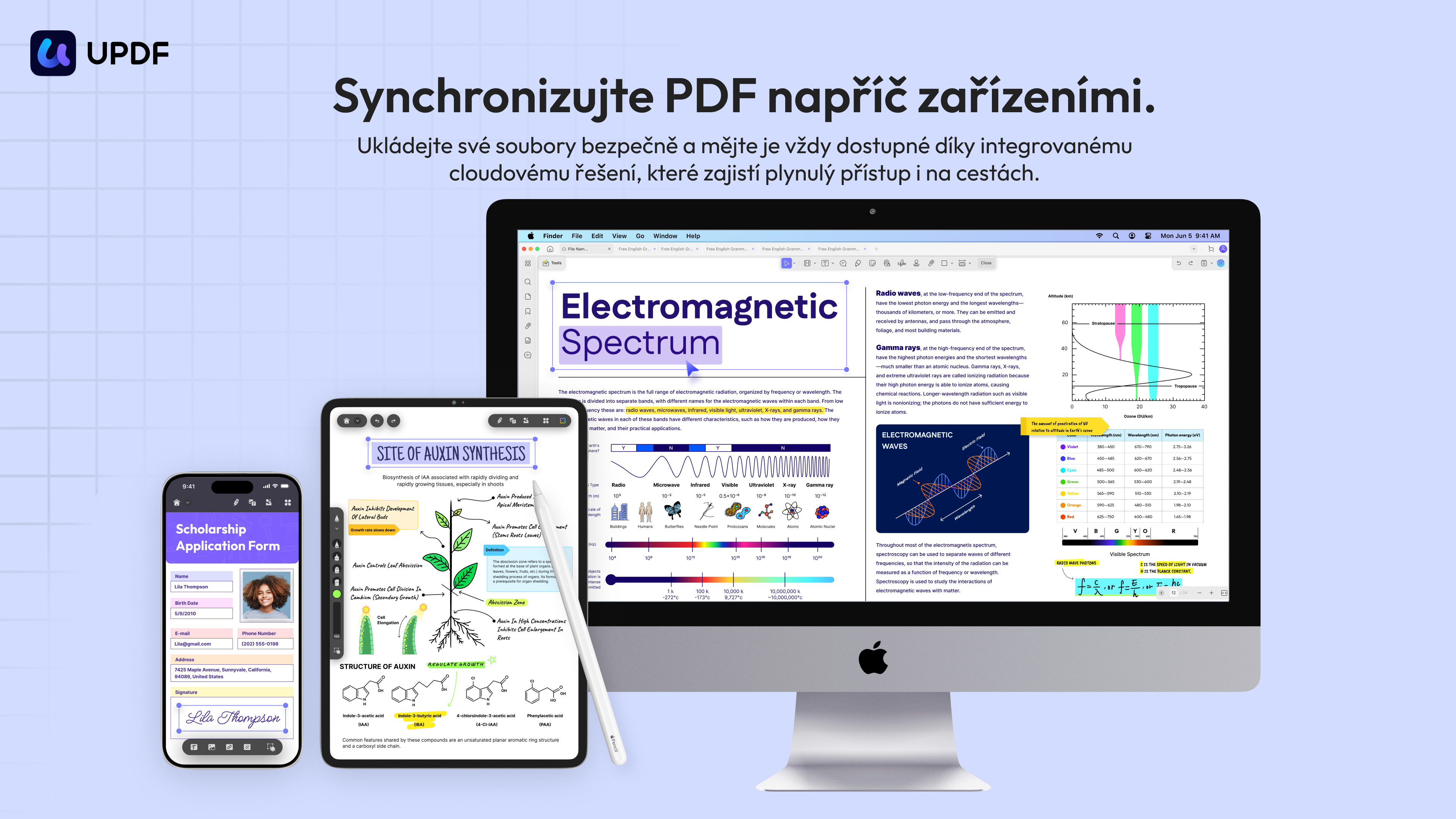 Sync PDF