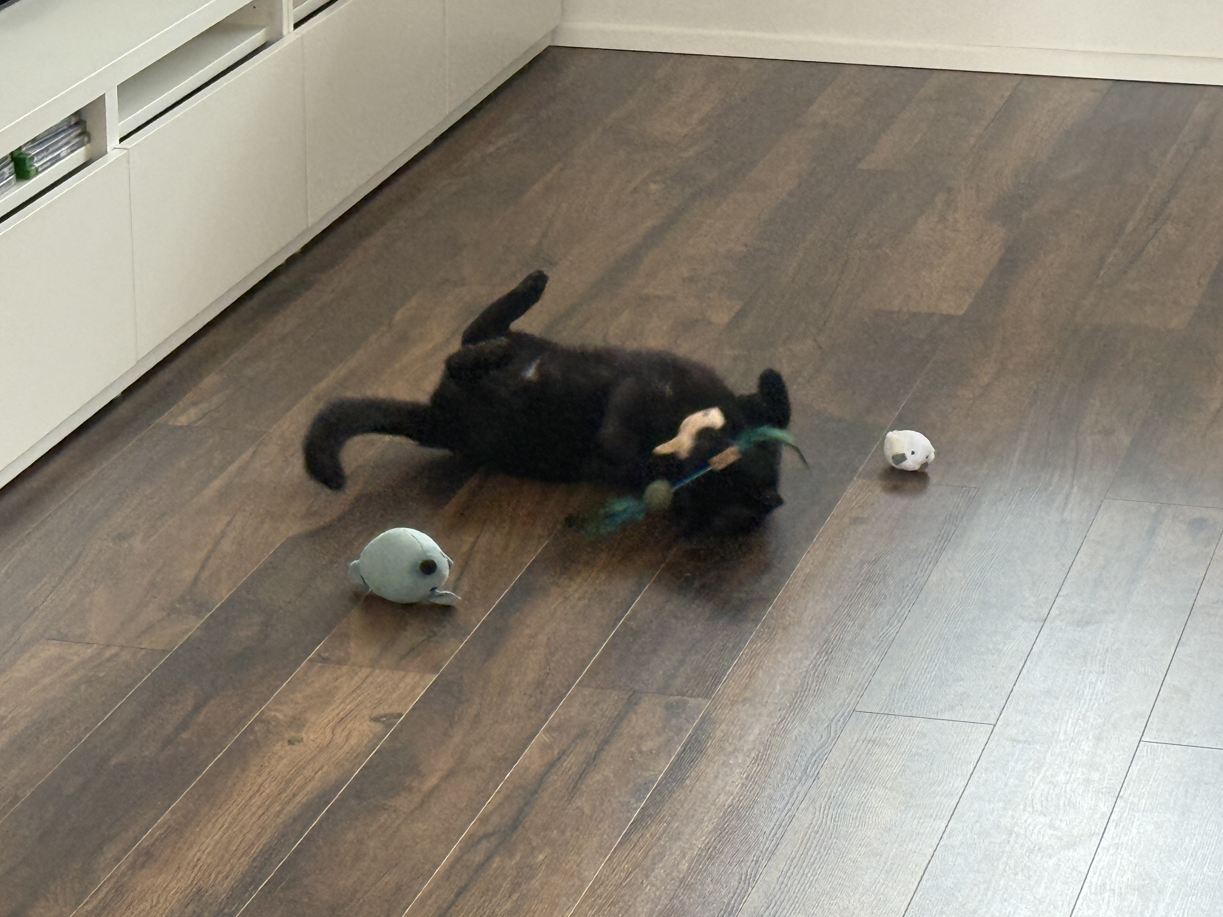 iPhone 16 Pro foto sum