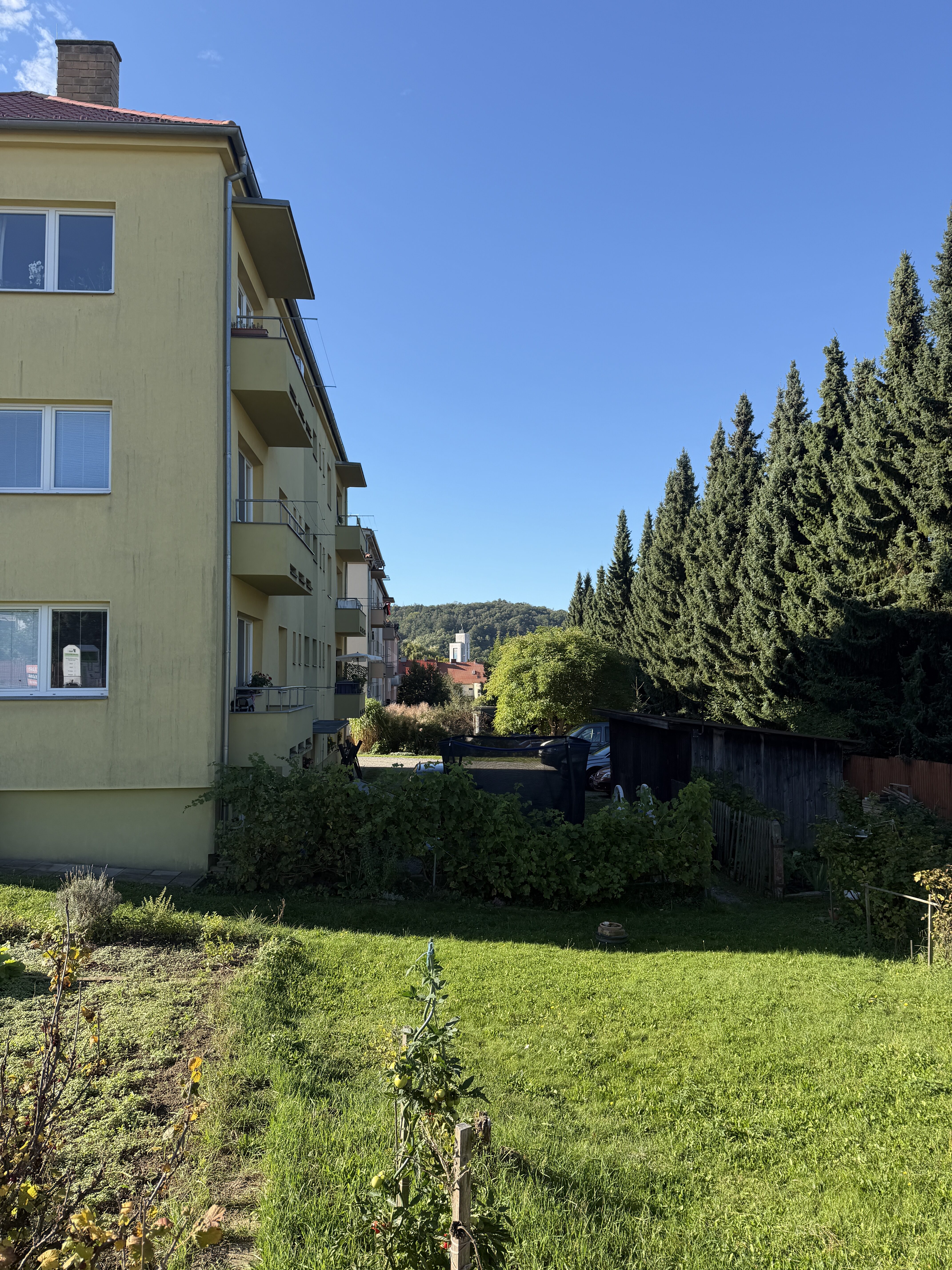 iPhone 17 Pro teleobjektiv foto 9