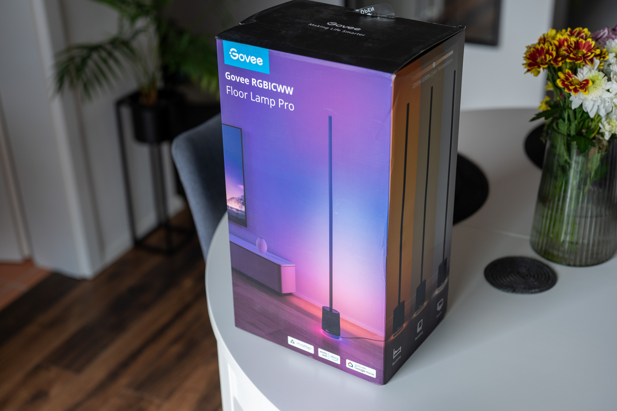 Govee Floor Lamp Pro 2