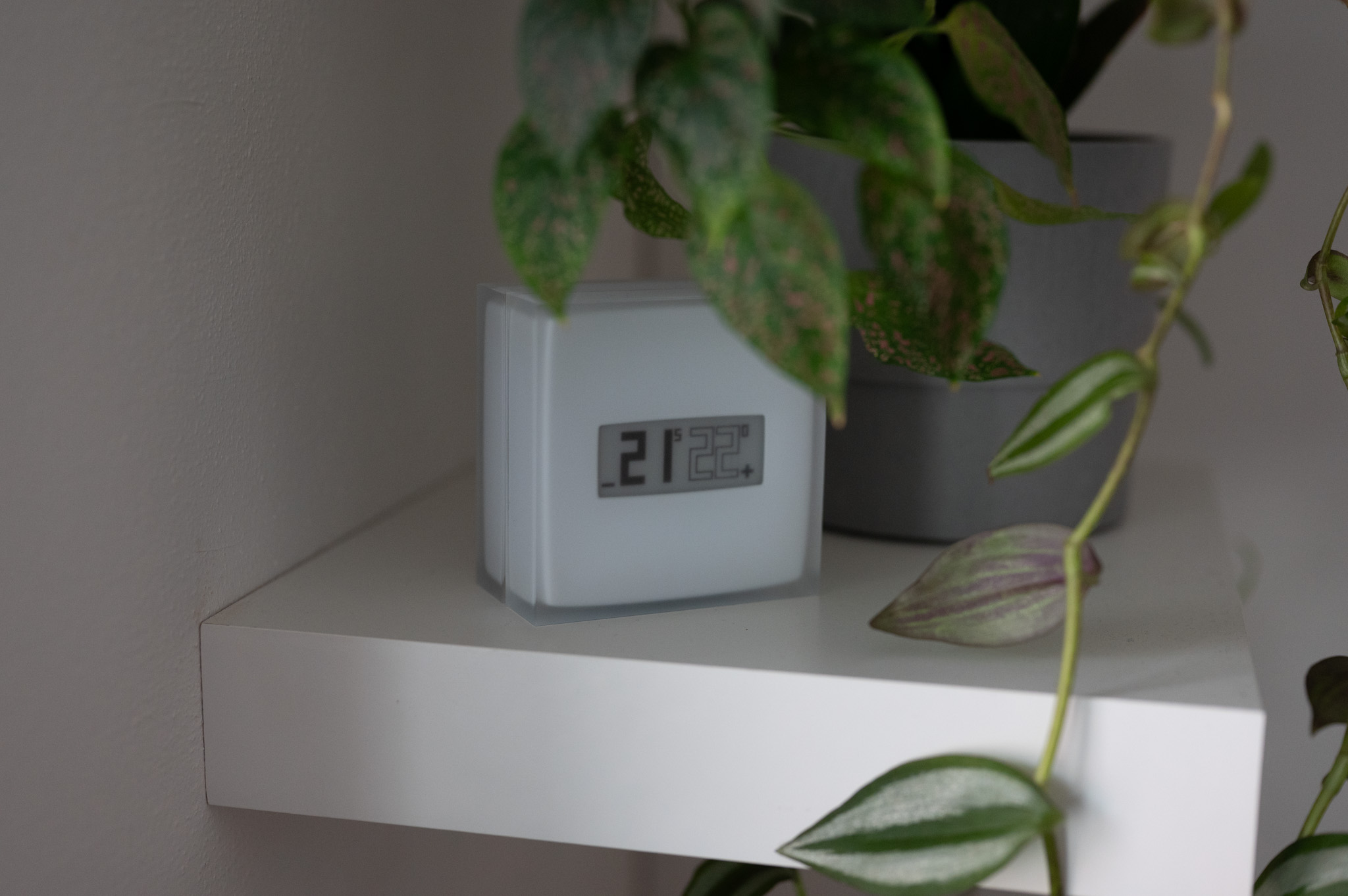 Netatmo Smart Thermostat 3