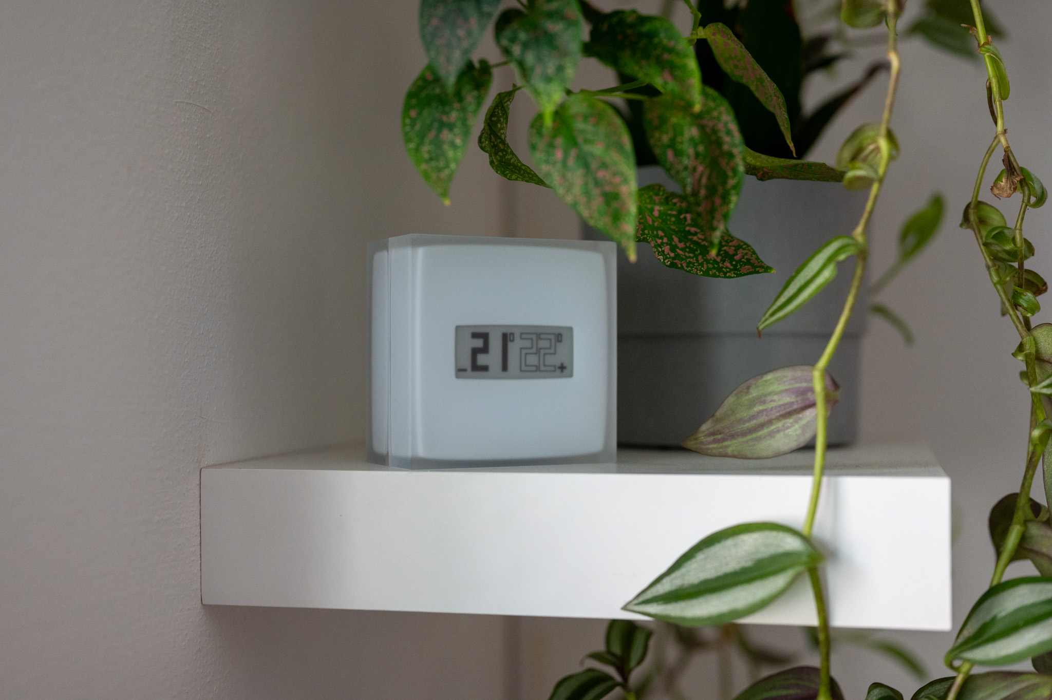 Čím víc si hraju s Apple HomeKitem, tím častěji narážím na jeho nesmyslná omezení