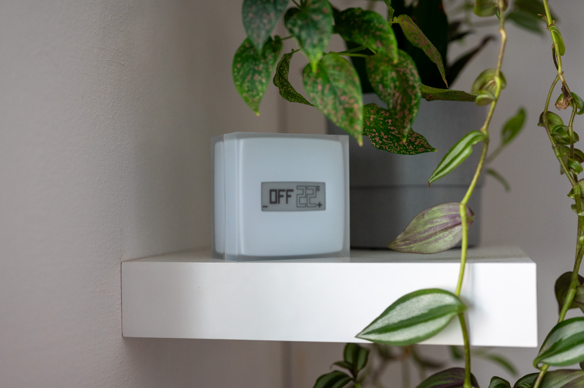 Netatmo Smart Thermostat 7